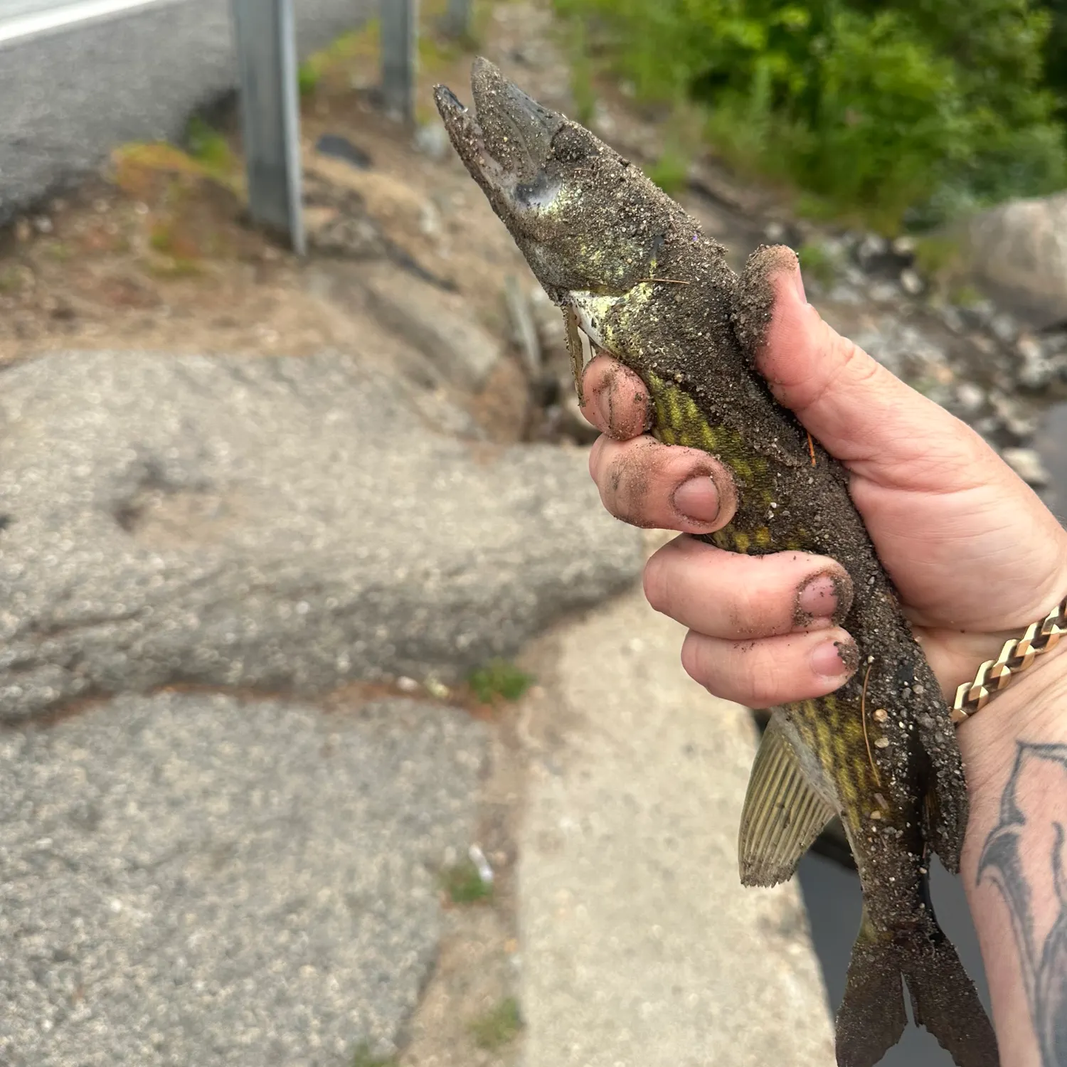catch