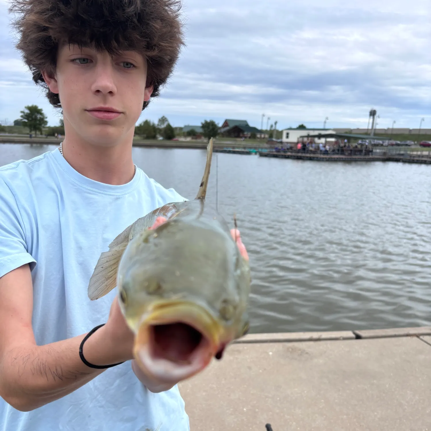 Grass carp caught on Fishbrain