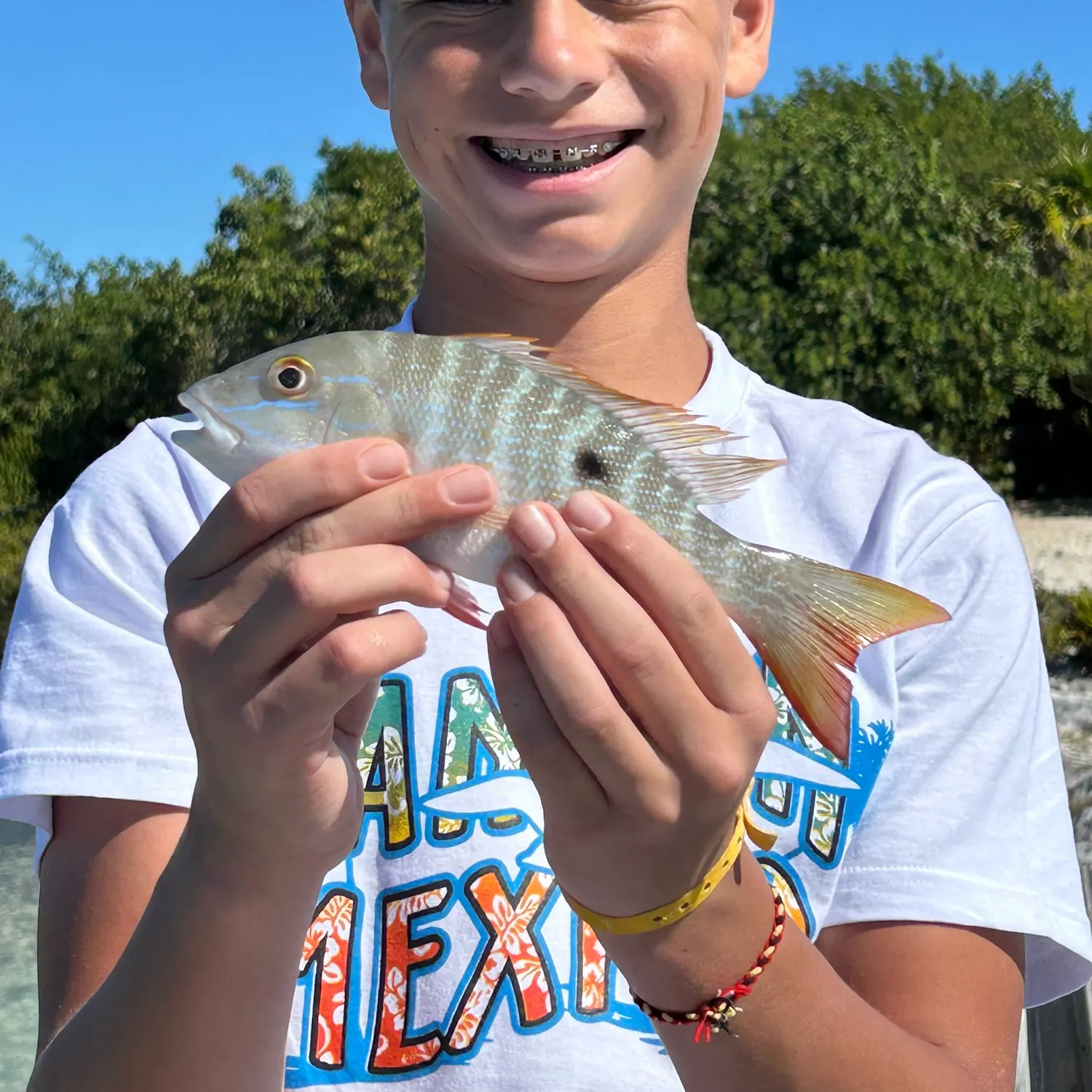 The most recent Lane snapper catches on Fishbrain