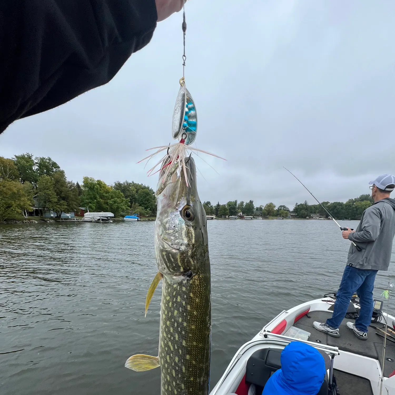 Northern pike caught on Fishbrain