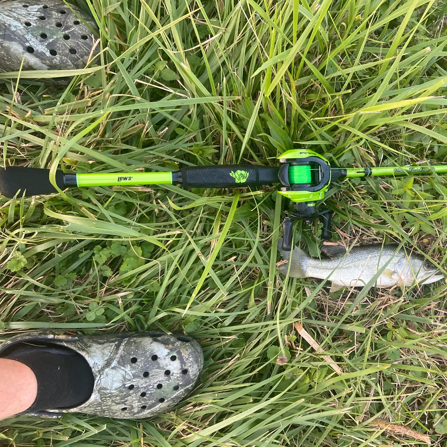 Fish caught on Fishbrain