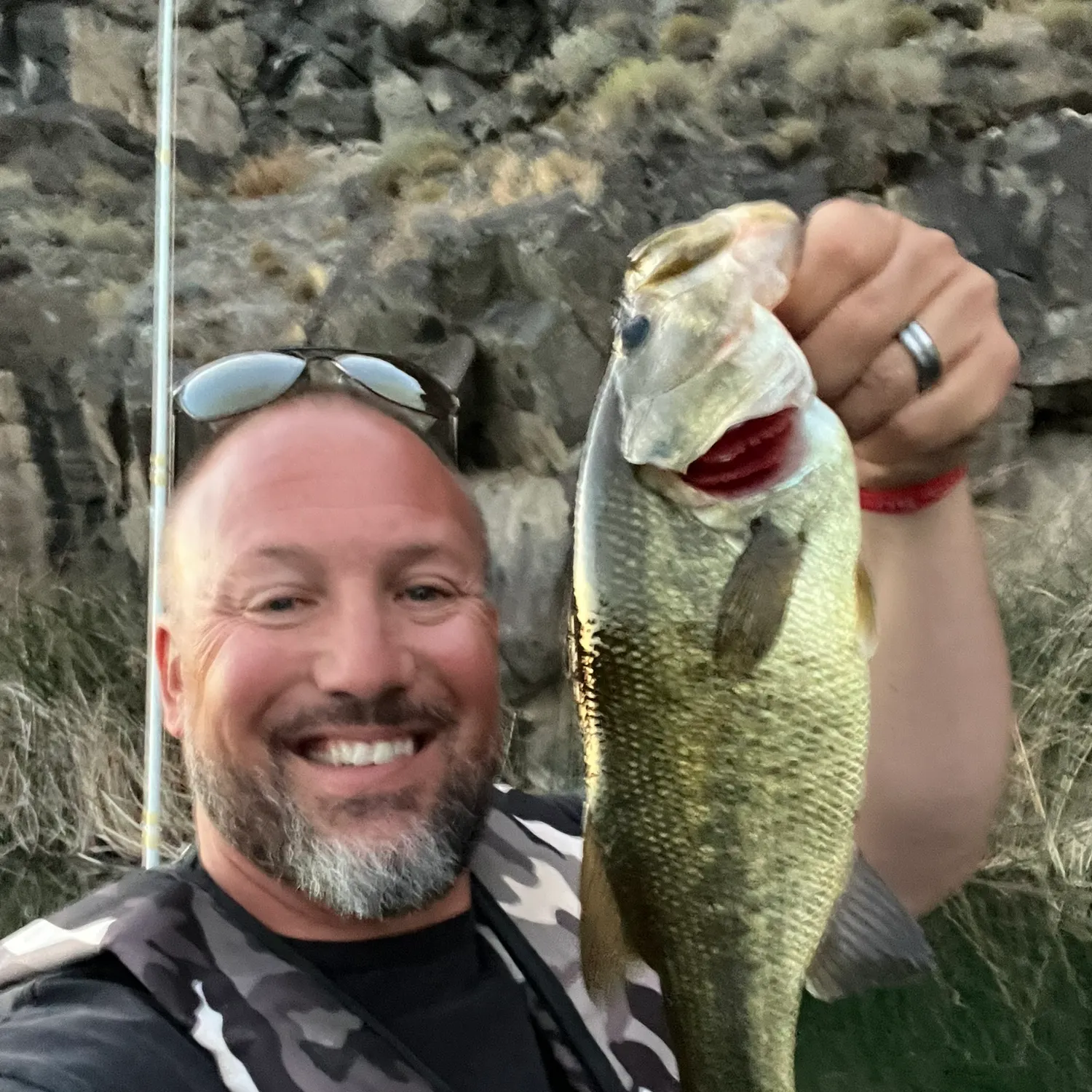 Largemouth bass caught on Fishbrain