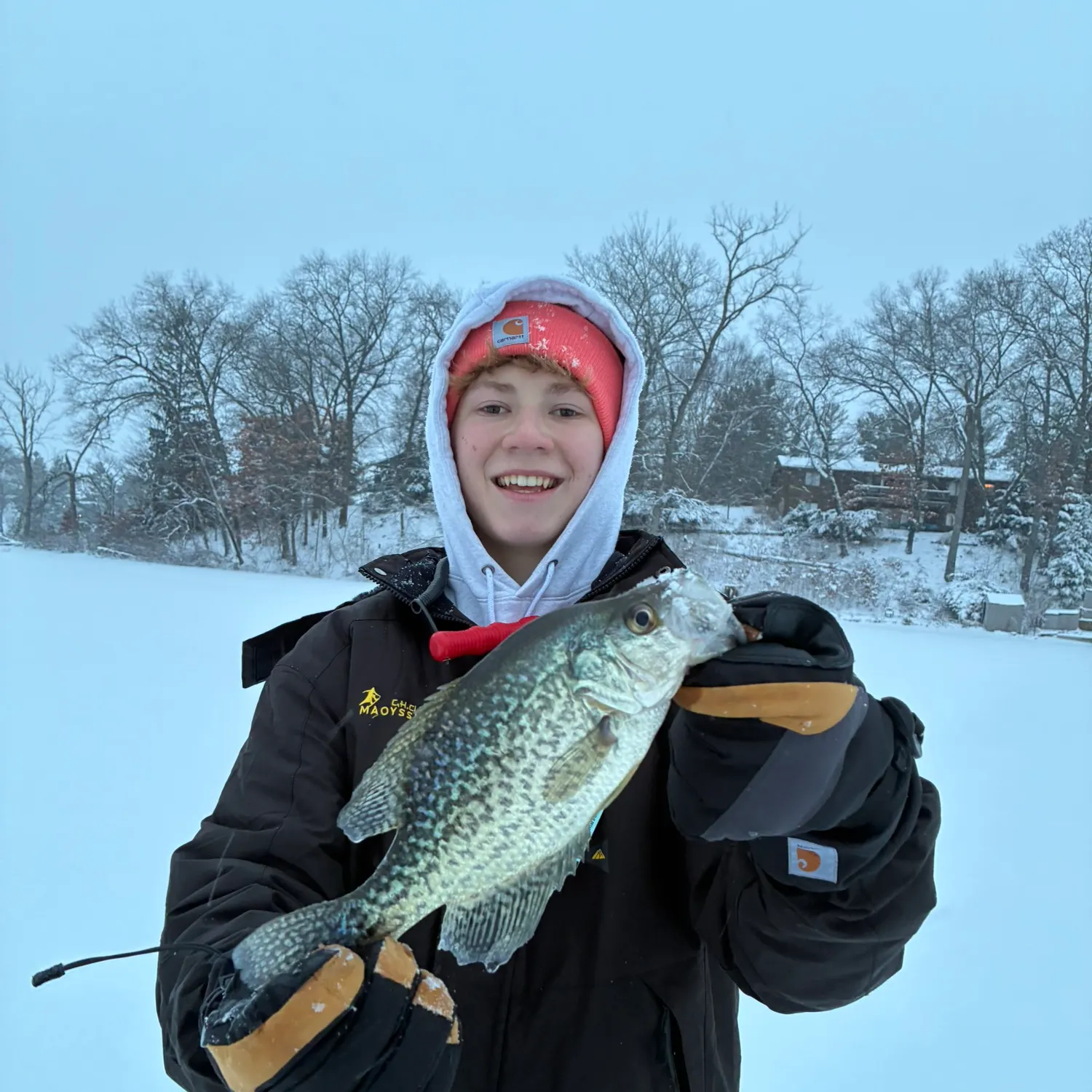 The most recent Black crappie catches on Fishbrain