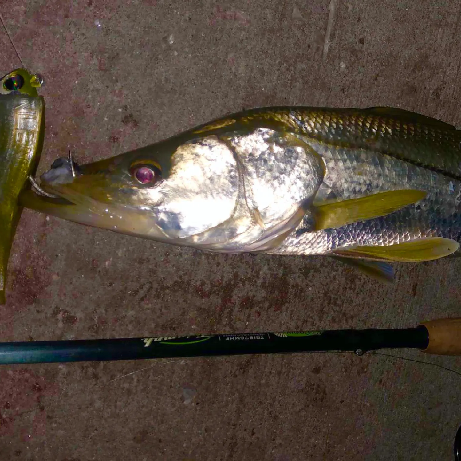 angler catch