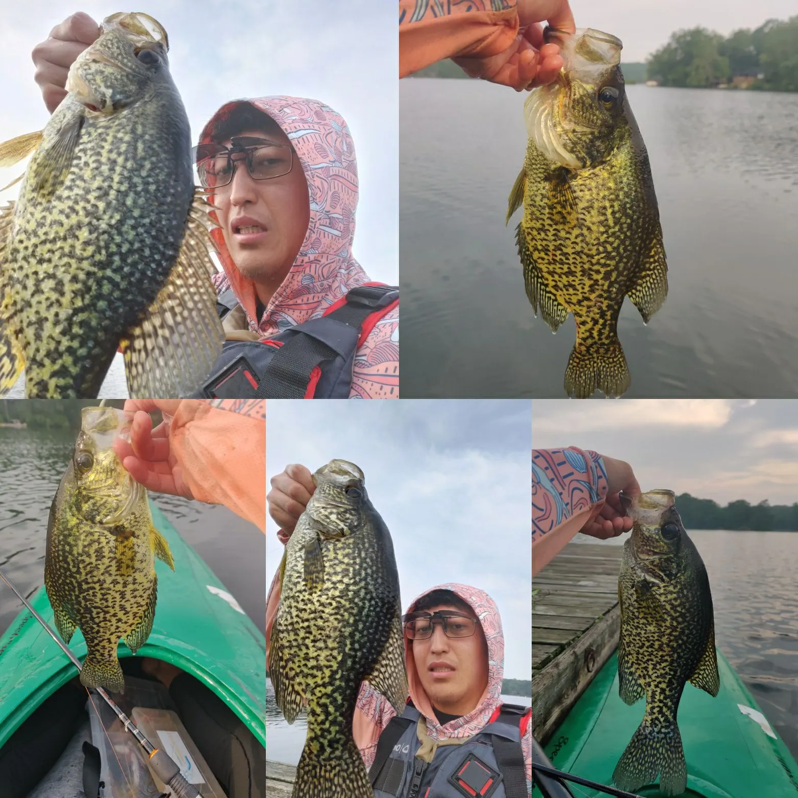 recently logged catches