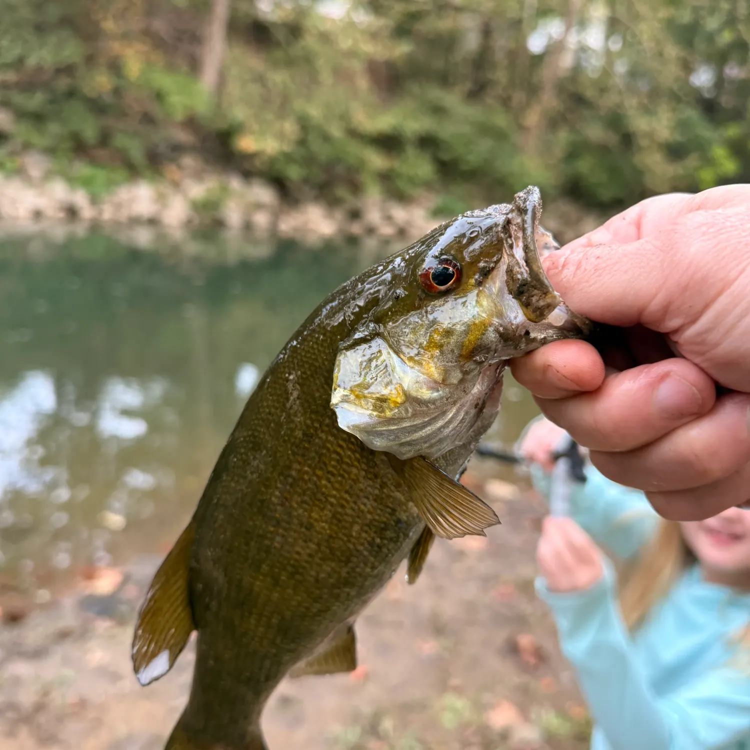 Smallmouth bass caught on Fishbrain