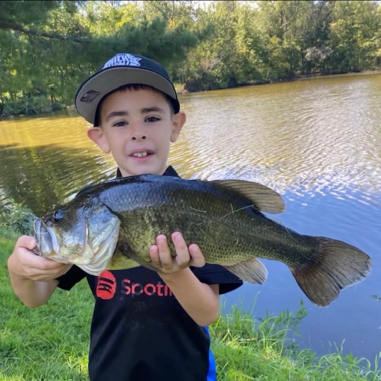 Largemouth bass caught on Fishbrain