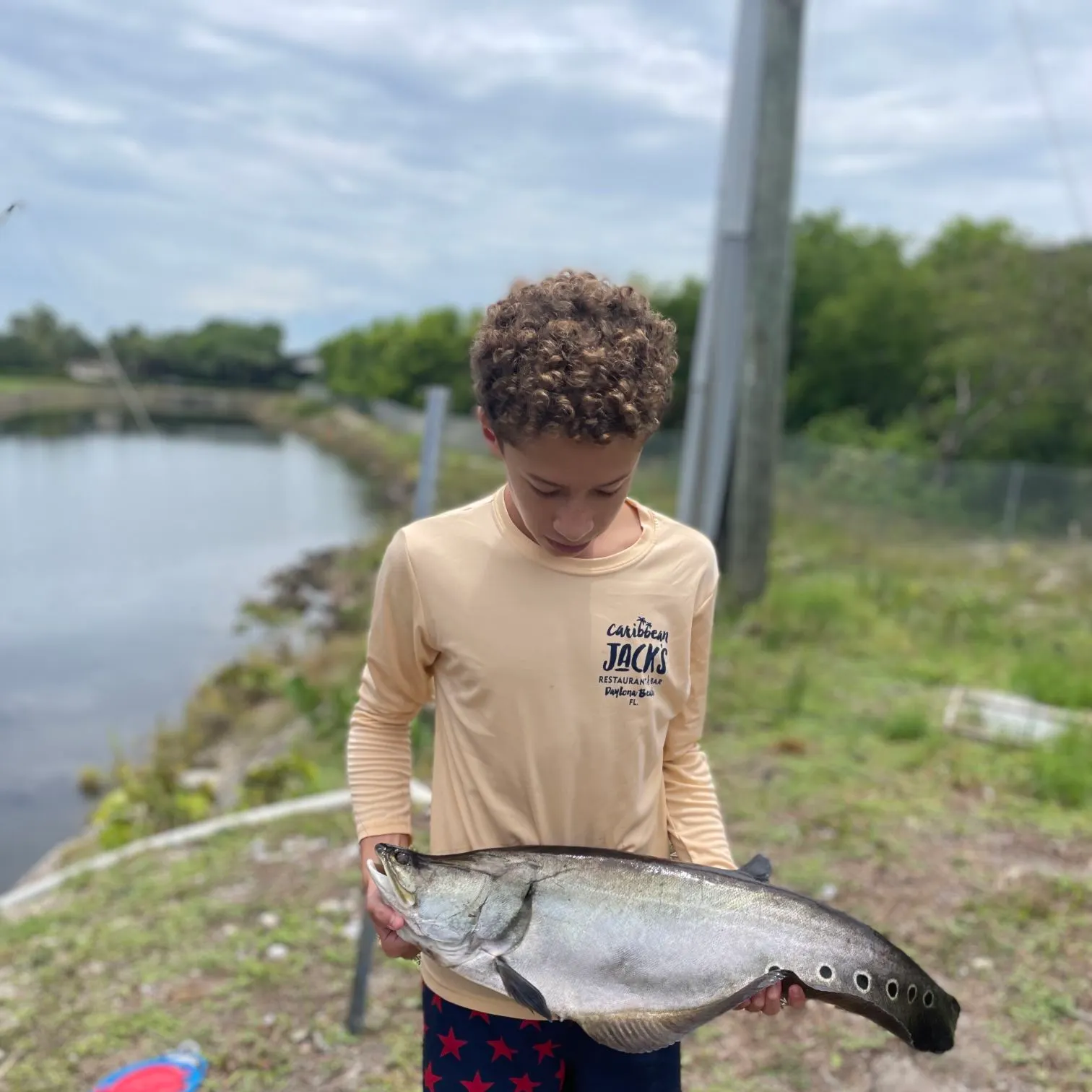The most recent Clown knifefish catches on Fishbrain