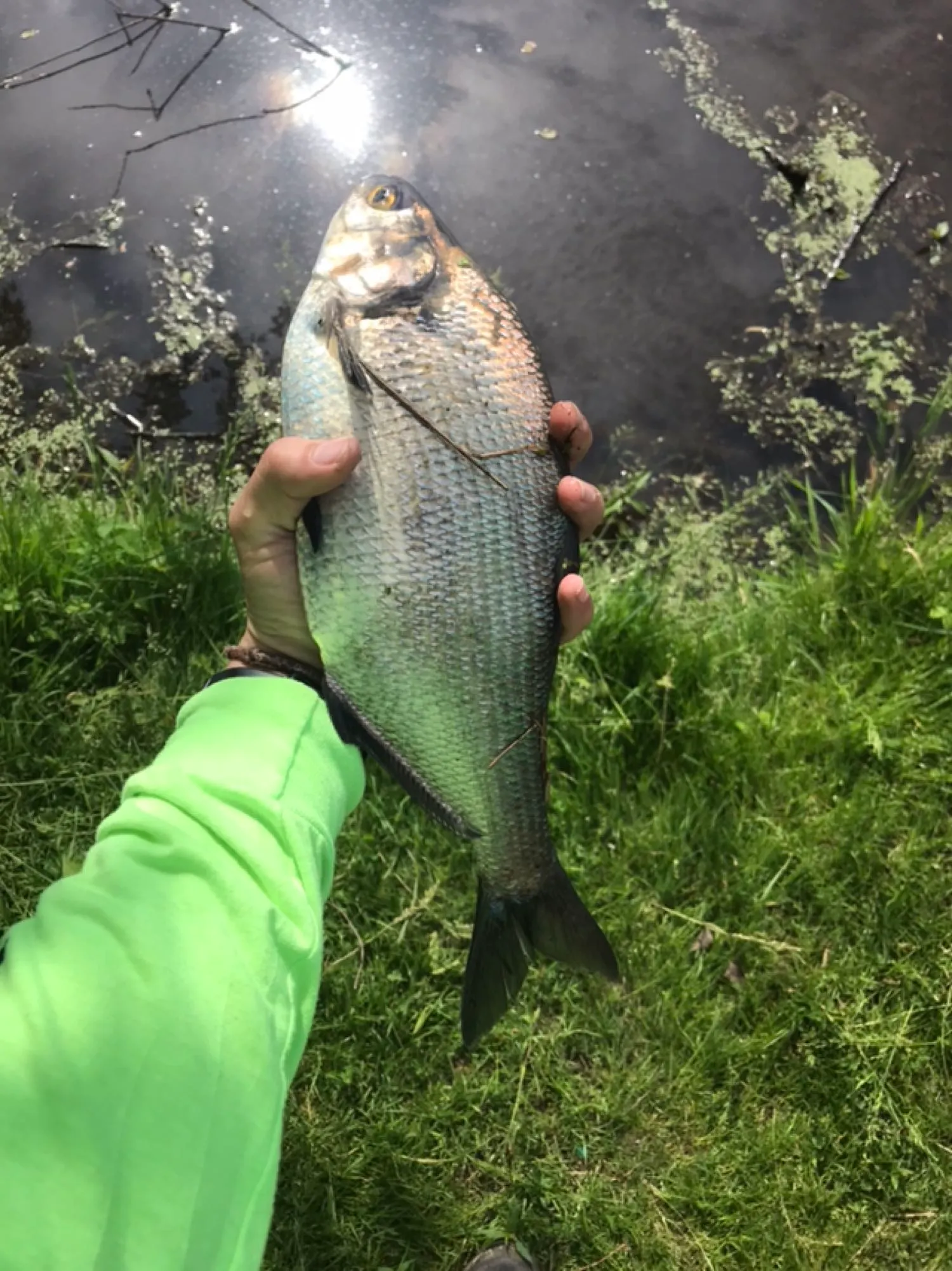 Post image from matt.andrews