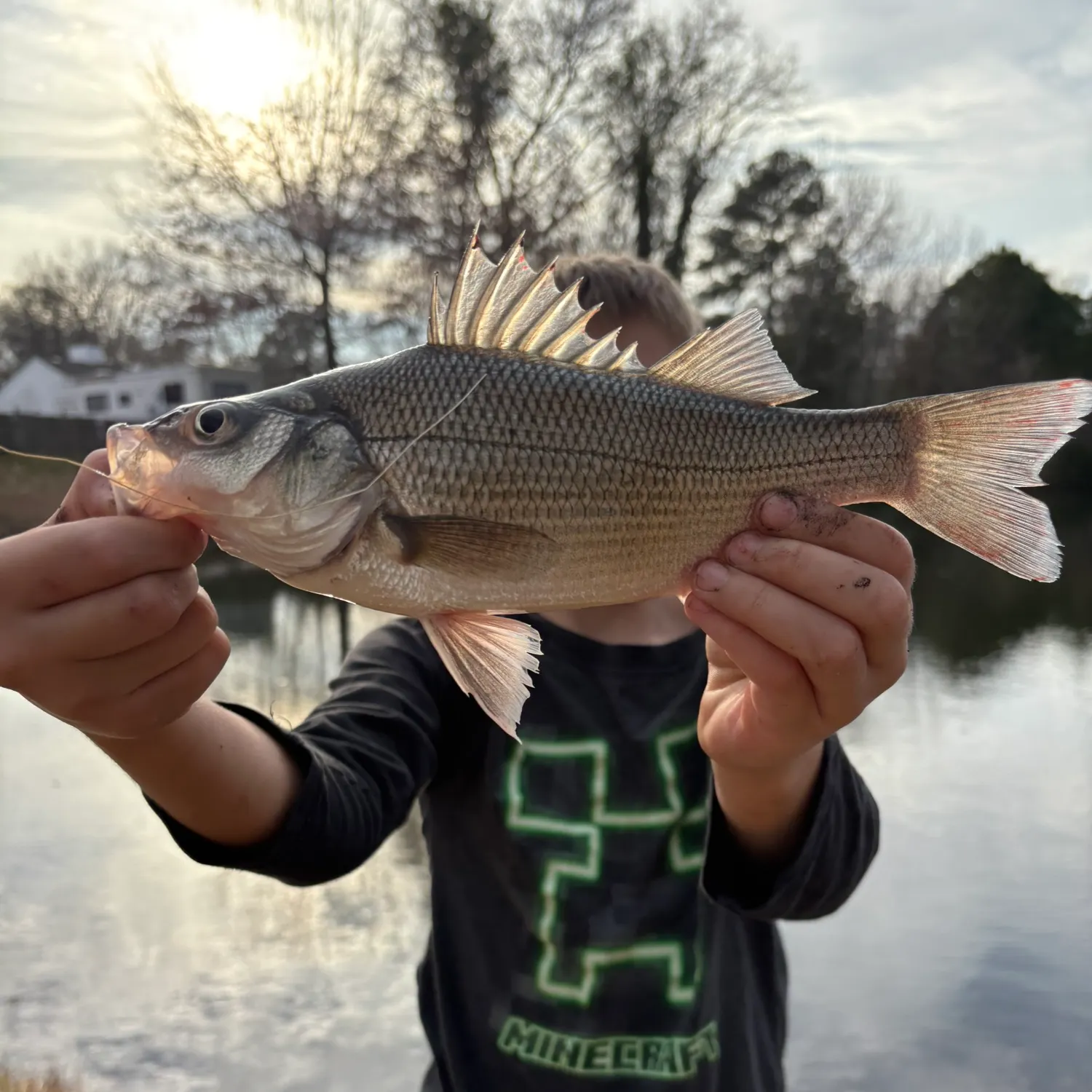 The most recent White perch catches on Fishbrain