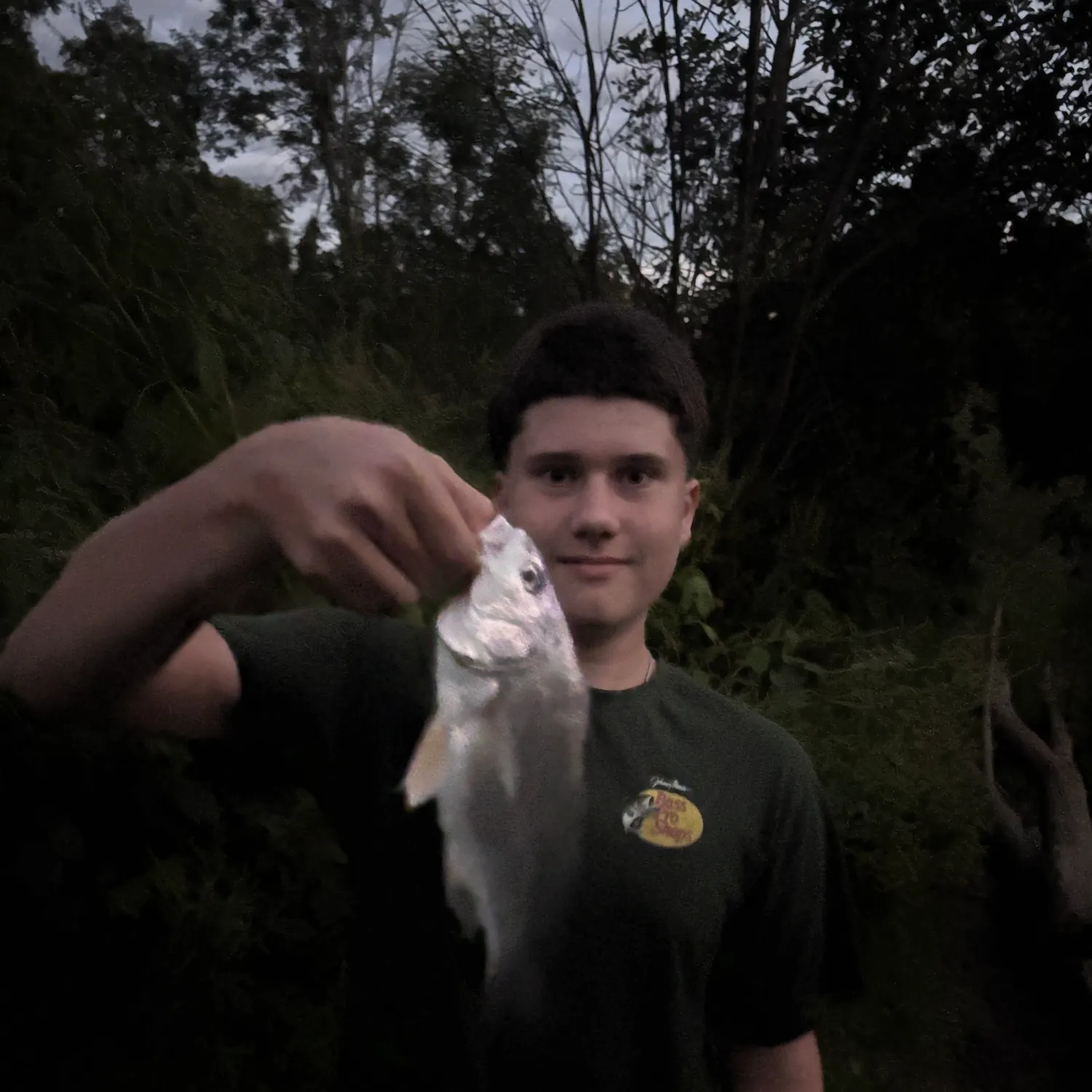 Freshwater drum caught on Fishbrain