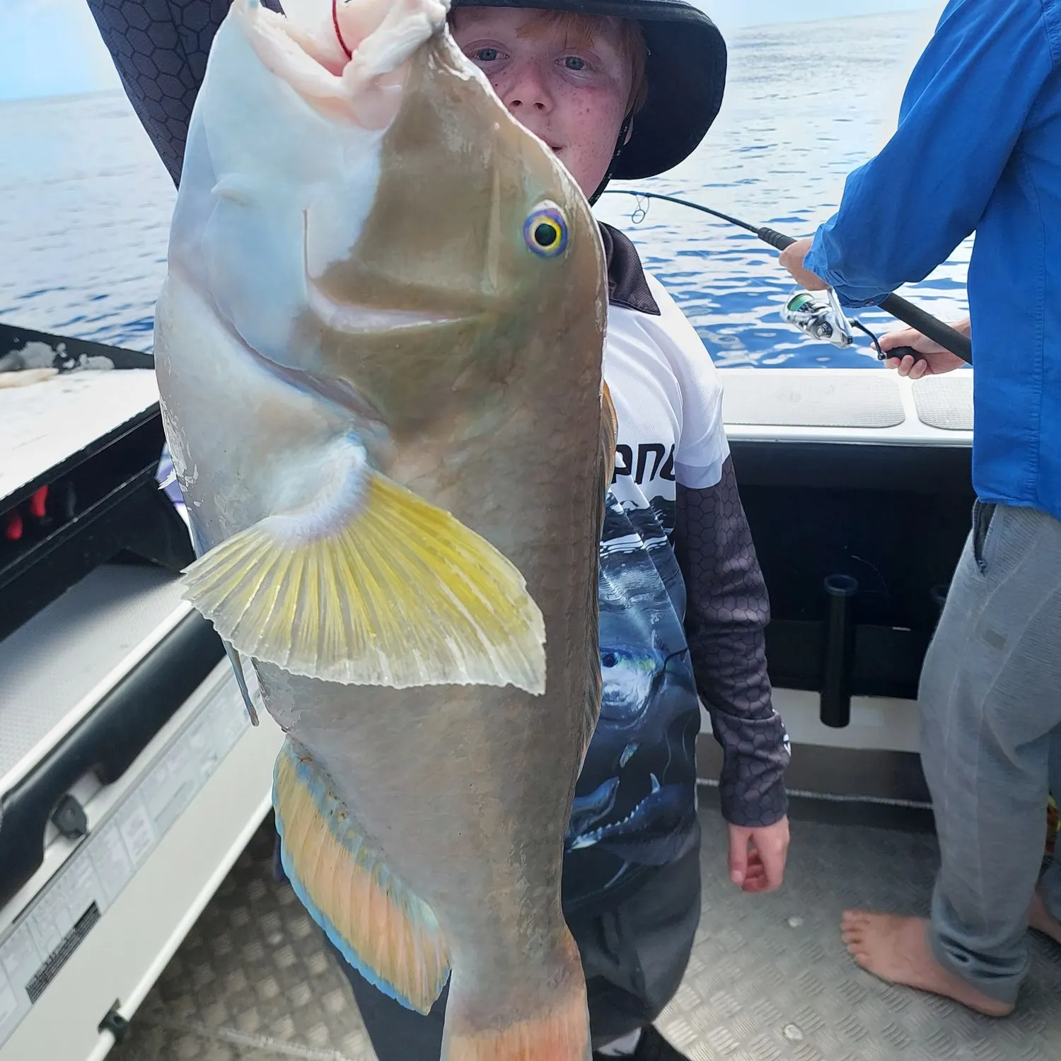 The most recent Baldchin groper catches on Fishbrain