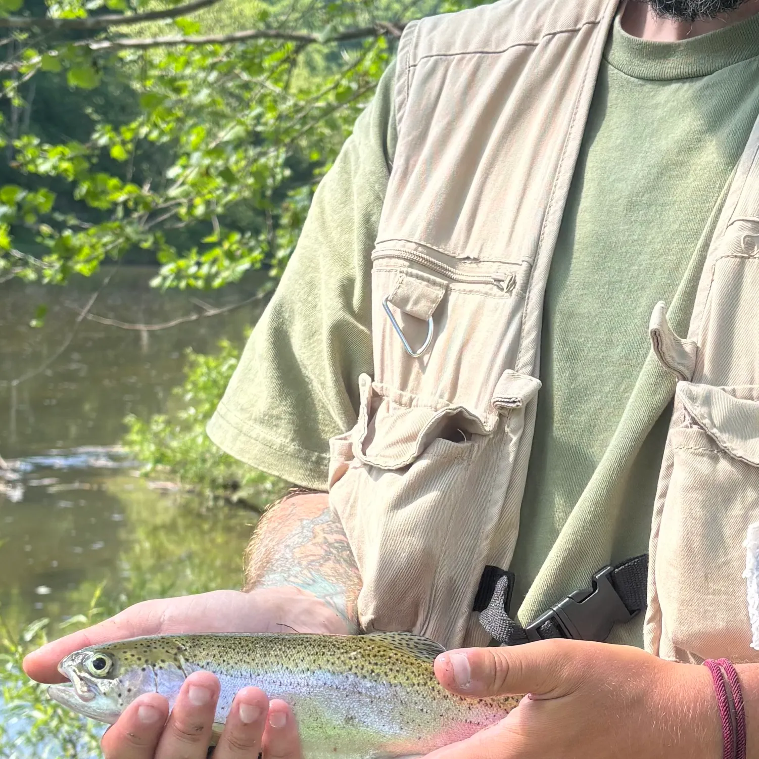 The most recent Rainbow trout catches on Fishbrain