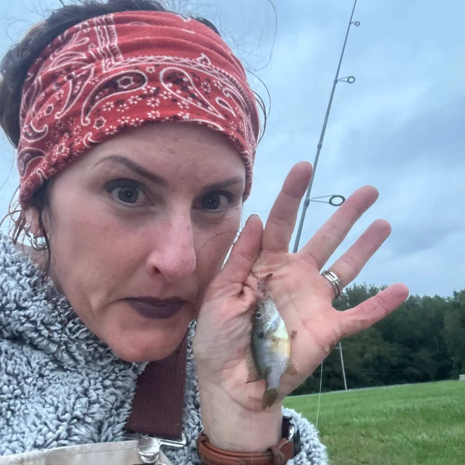 Green sunfish caught on Fishbrain