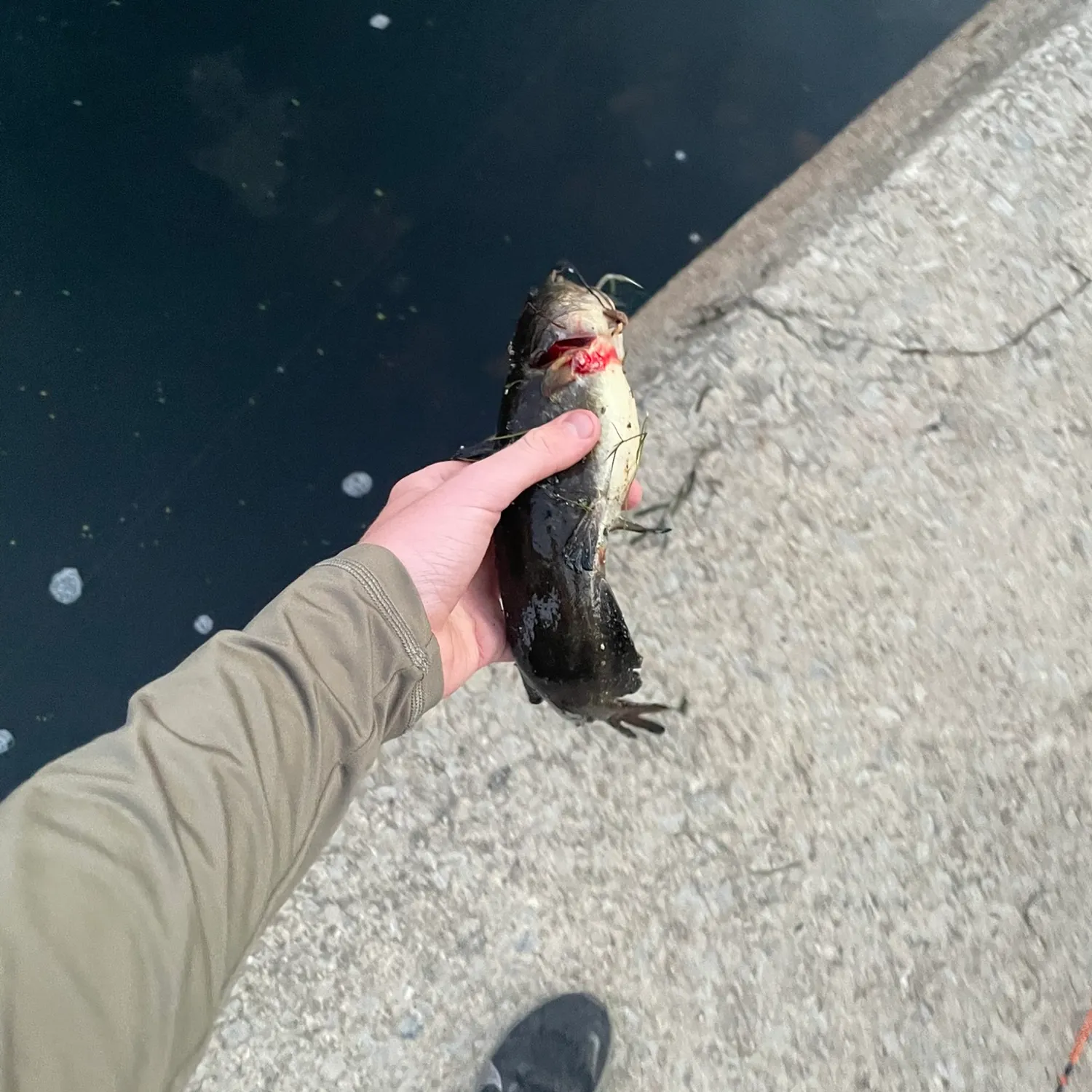 catch