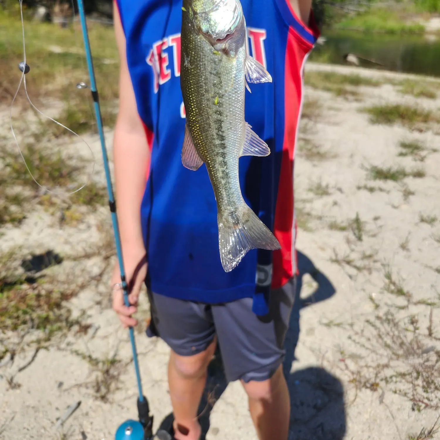 Spotted bass caught on Fishbrain