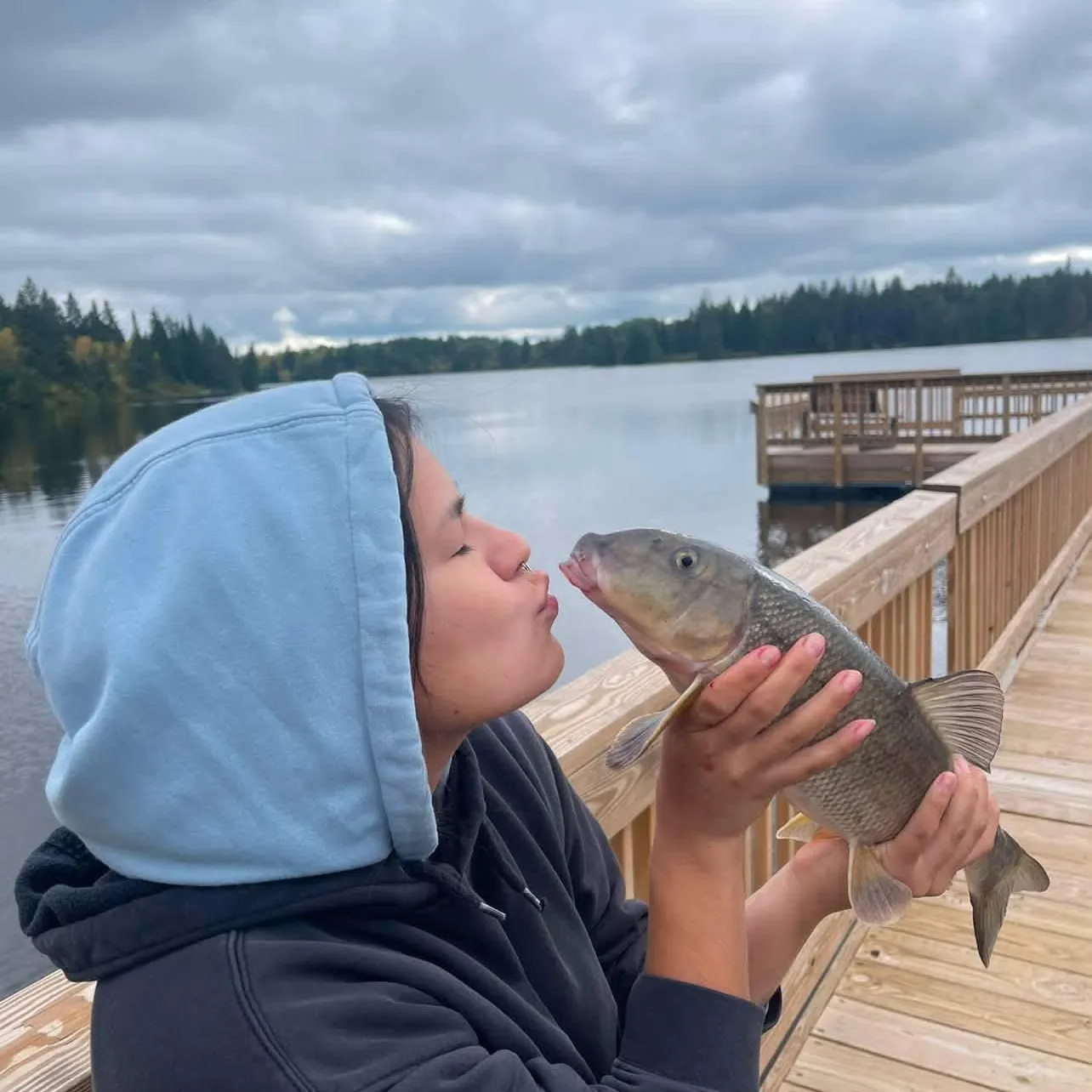White sucker caught on Fishbrain