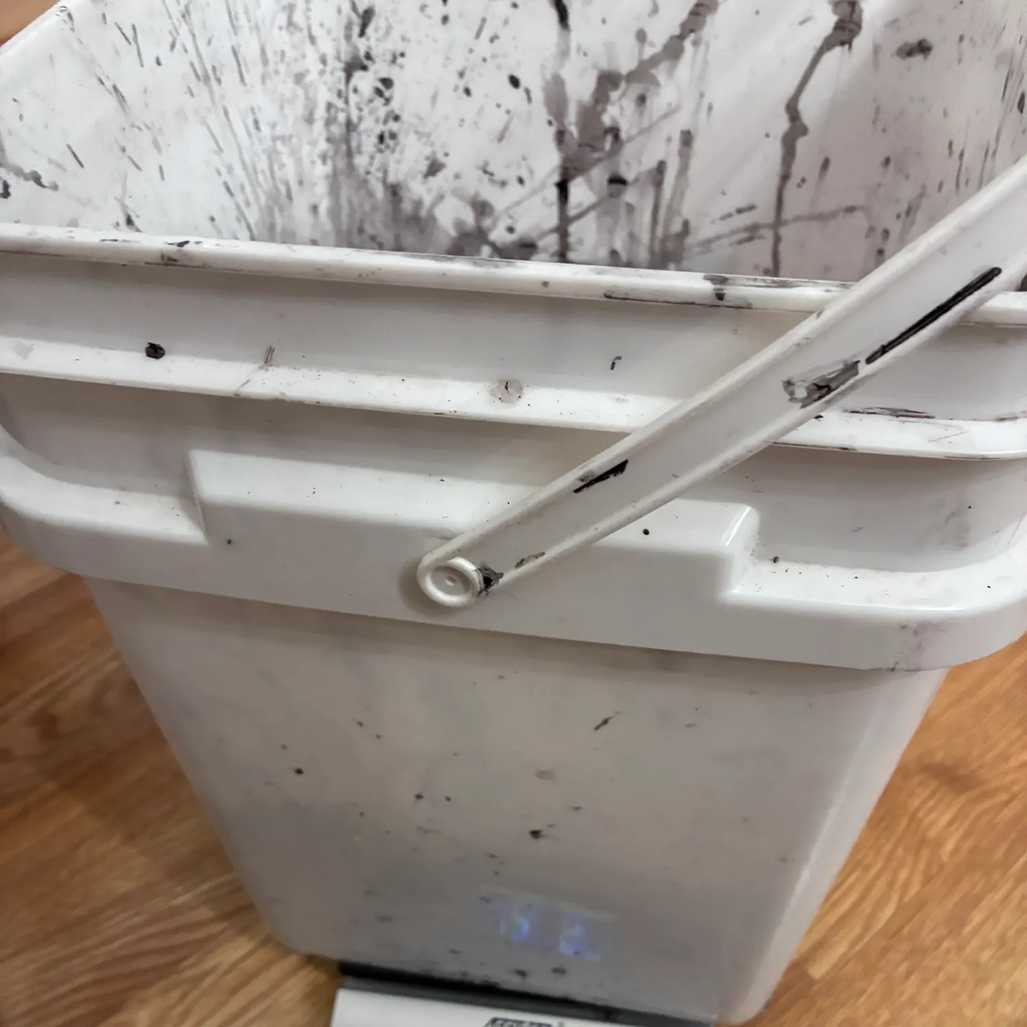 The most recent Longfin inshore squid catches on Fishbrain