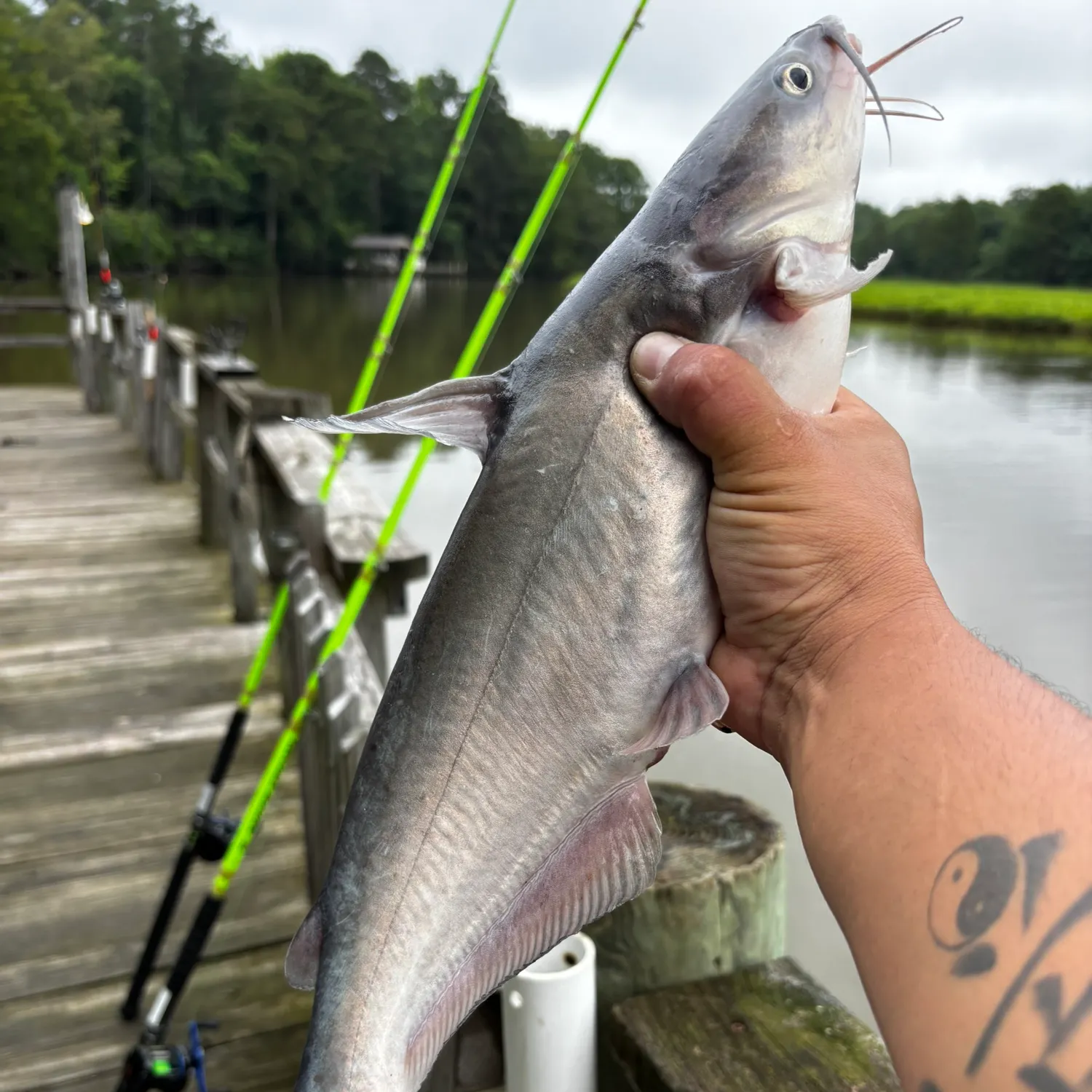 catch