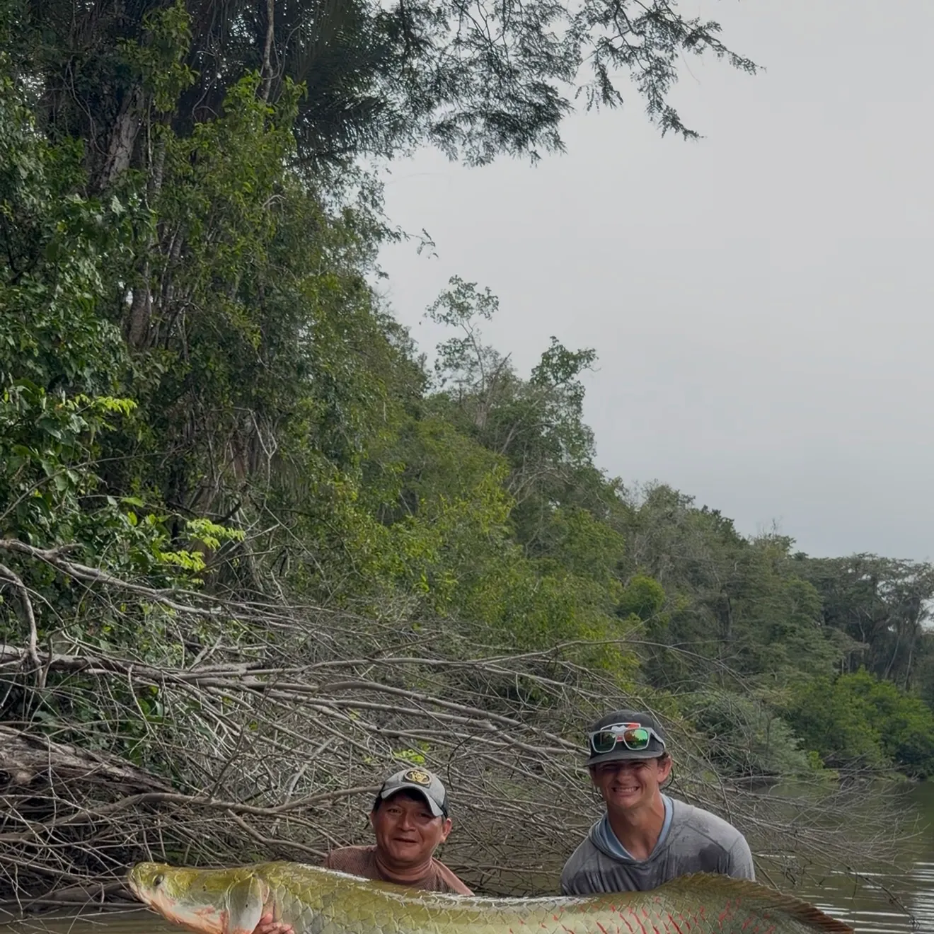 The most recent Arapaima catches on Fishbrain
