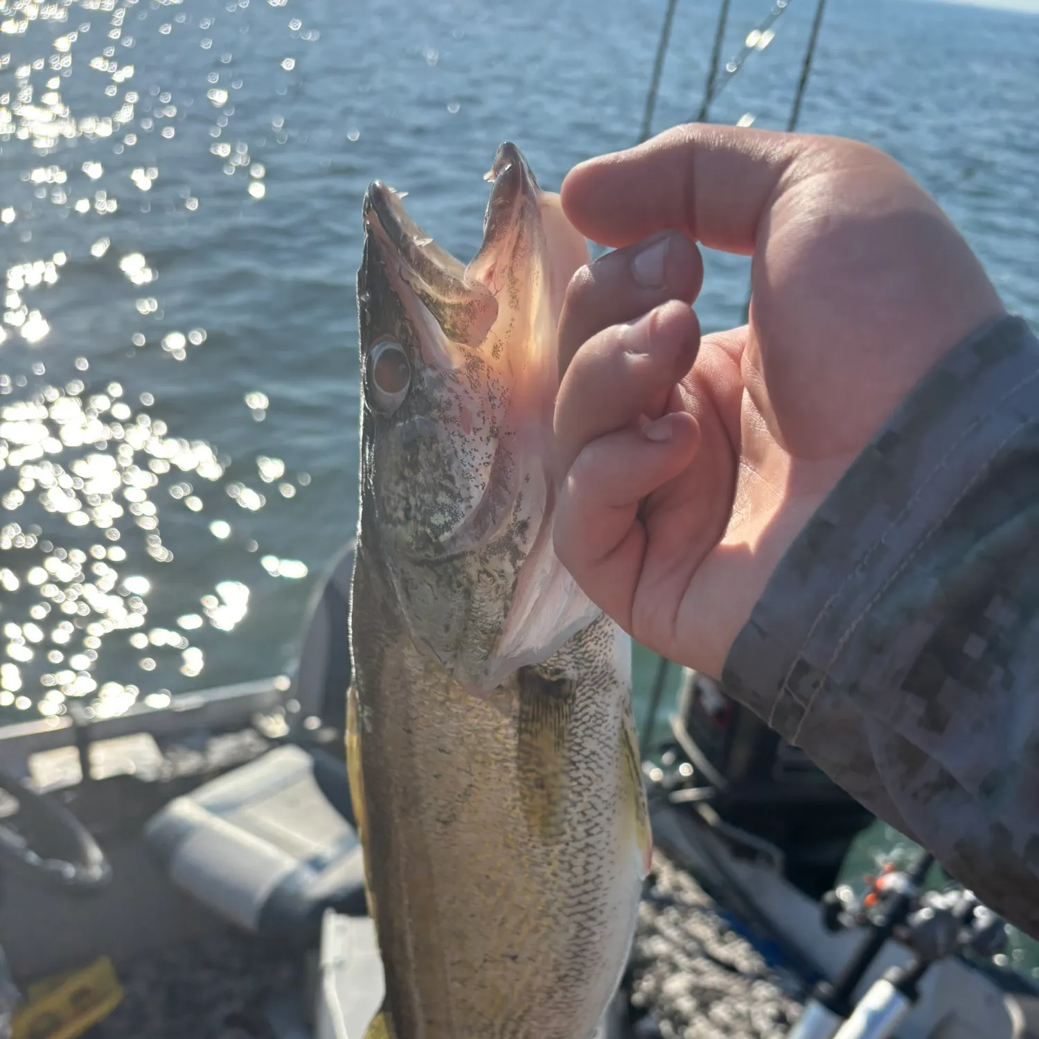catch