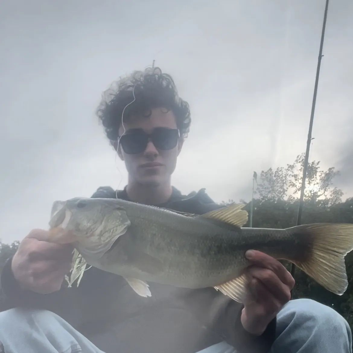 Largemouth bass caught on Fishbrain