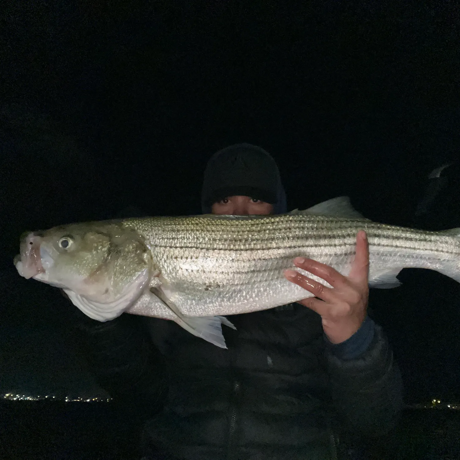 Striped bass caught on Fishbrain