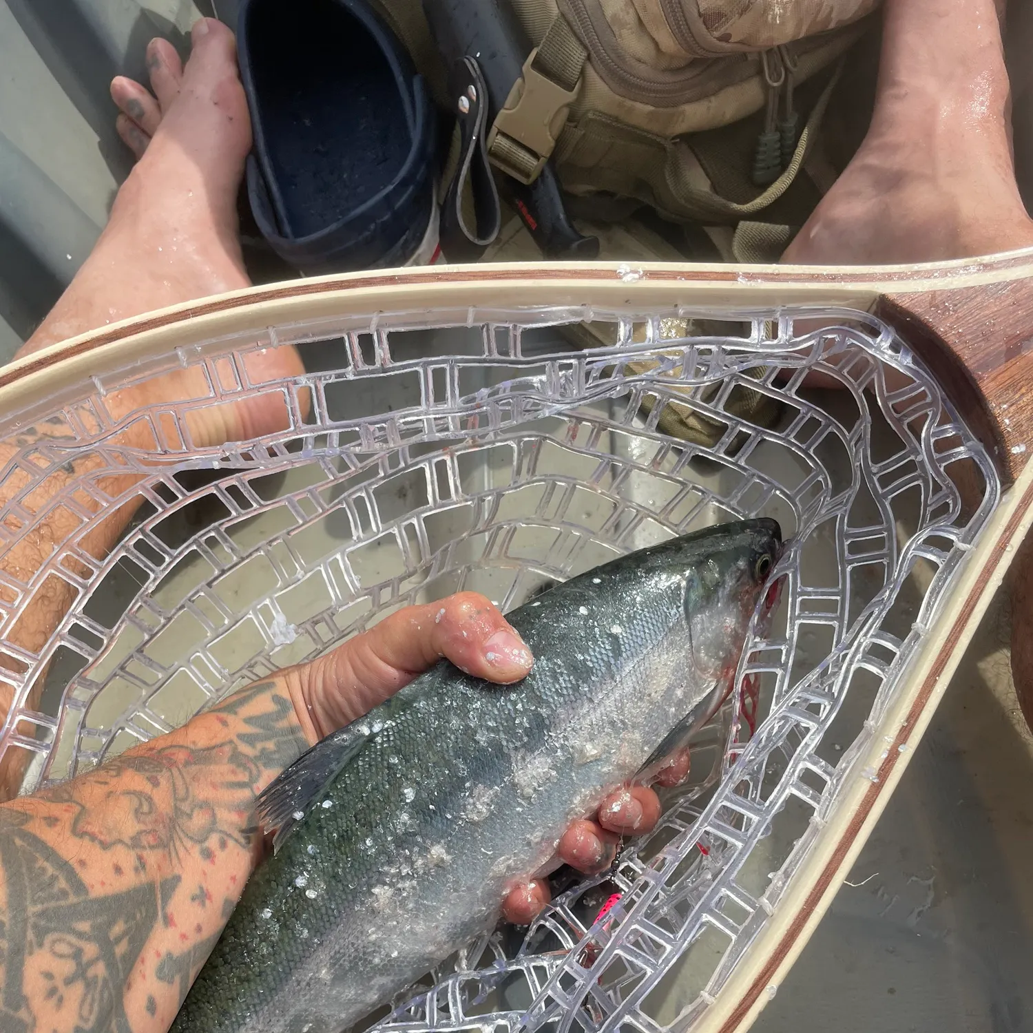 recently logged catches