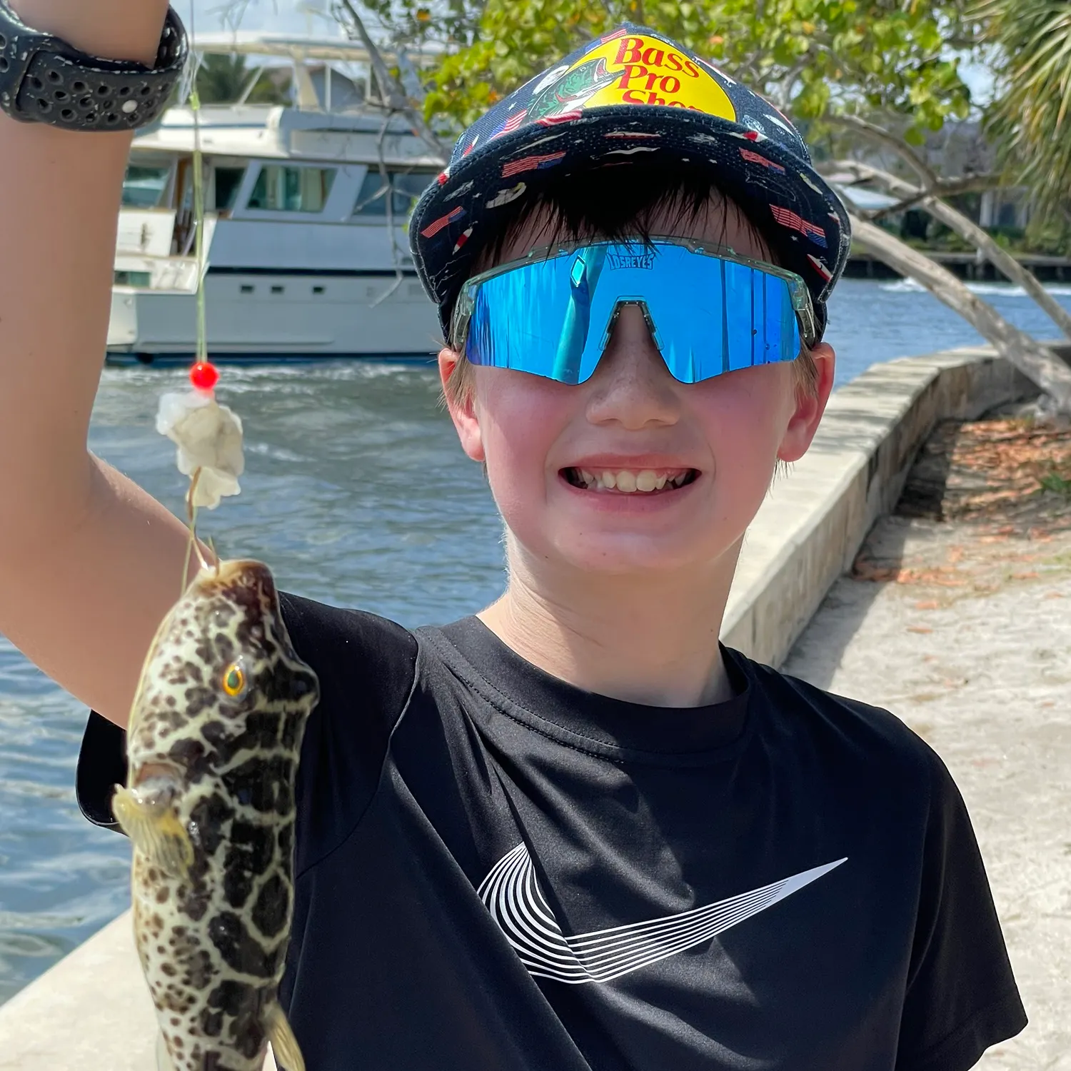 The most recent White-spotted puffer catches on Fishbrain