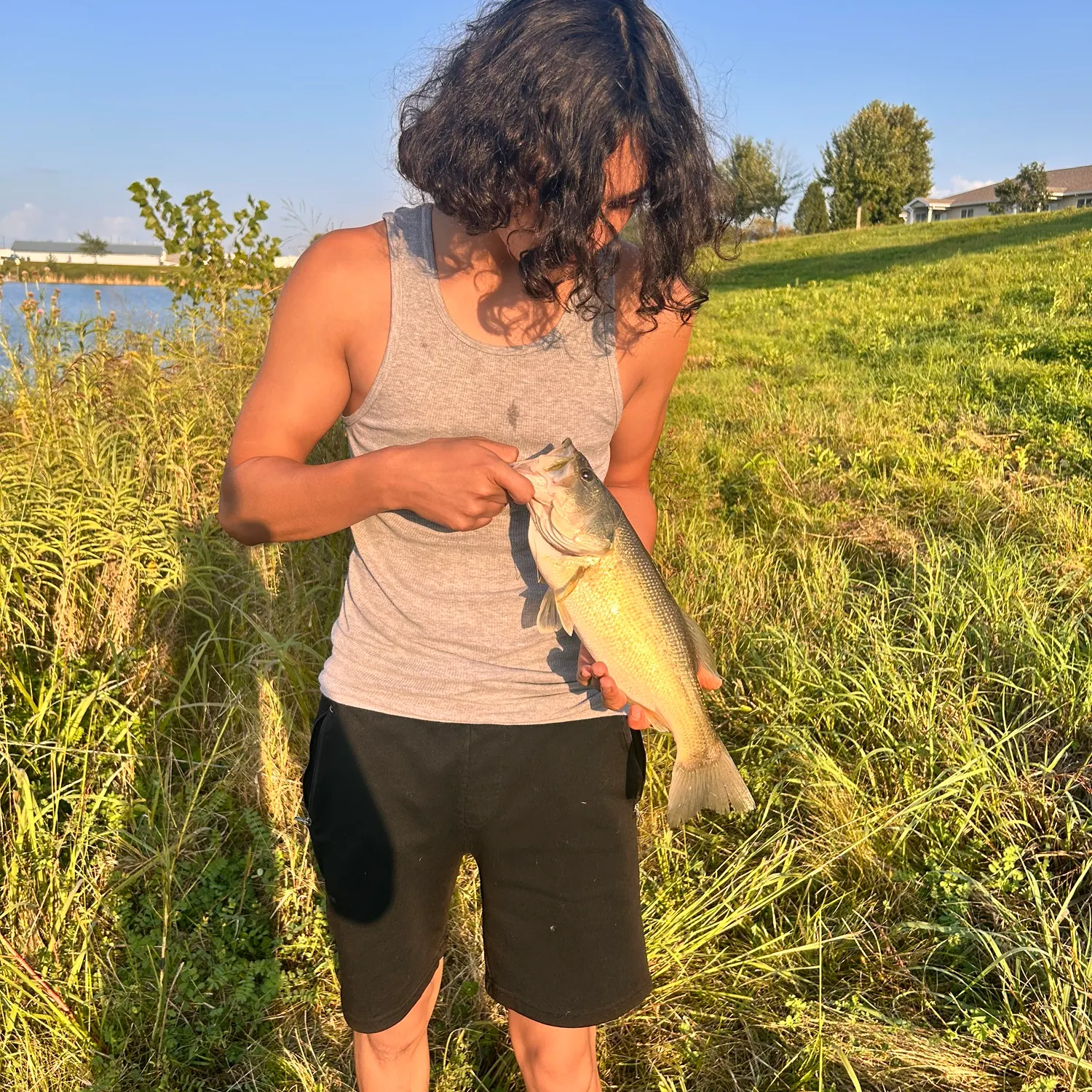 Spotted bass caught on Fishbrain