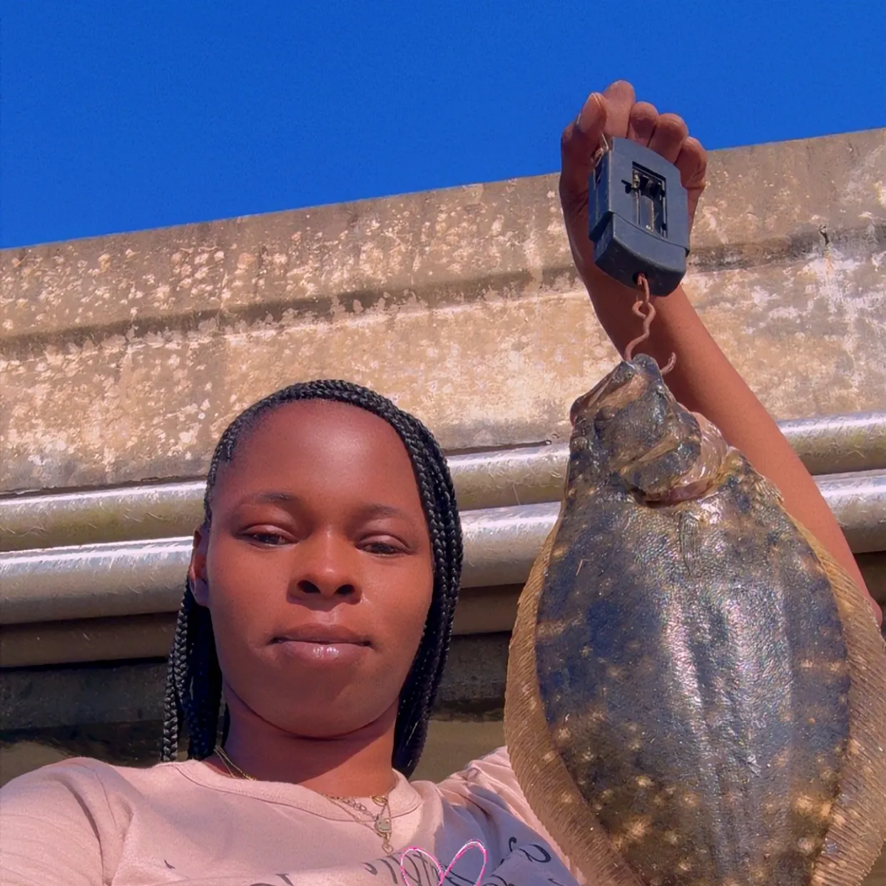 Summer flounder caught on Fishbrain