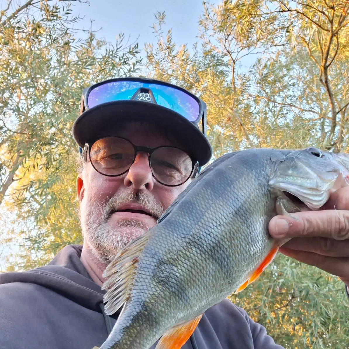 Common bream caught on Fishbrain