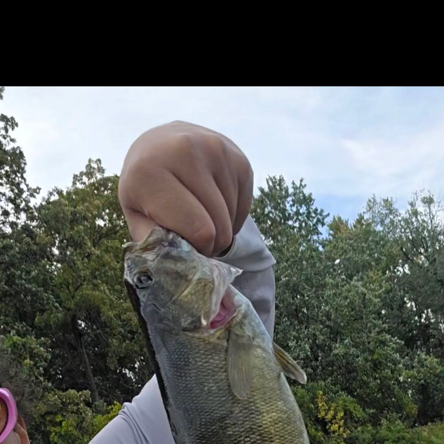 Smallmouth bass caught on Fishbrain