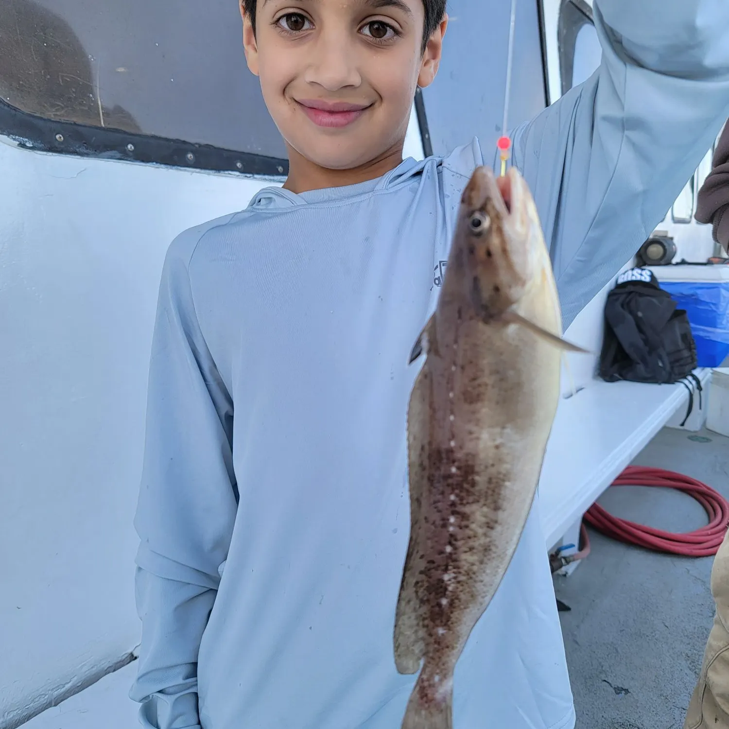 The most recent Piked dogfish catches on Fishbrain
