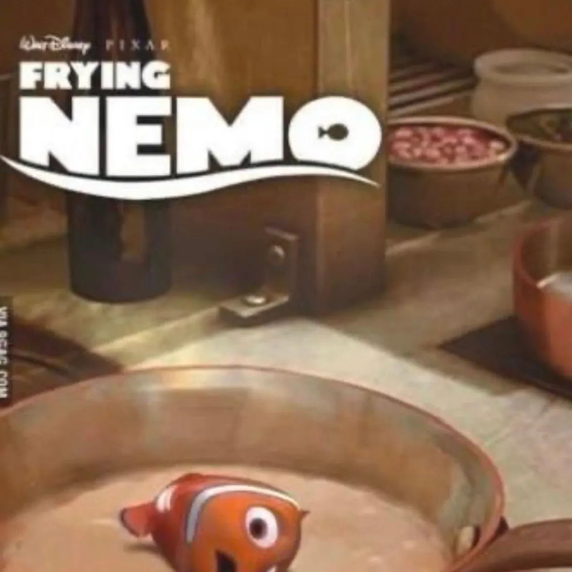 The most recent Clown anemonefish catches on Fishbrain