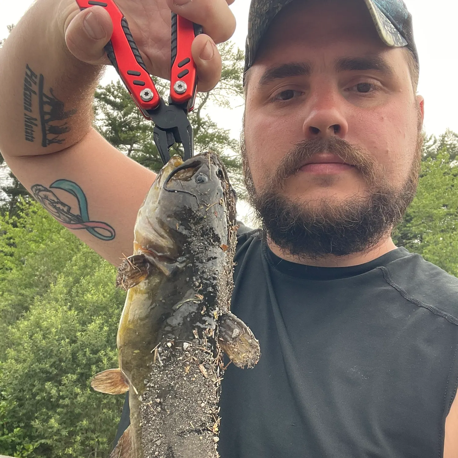 The most recent Amur catfish catches on Fishbrain