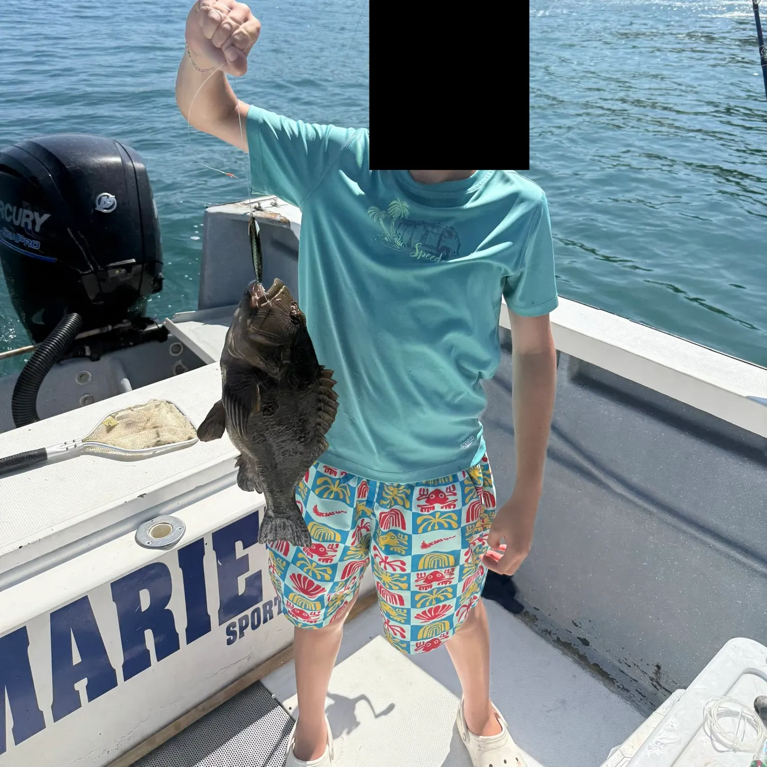 The most recent Giant hawkfish catches on Fishbrain