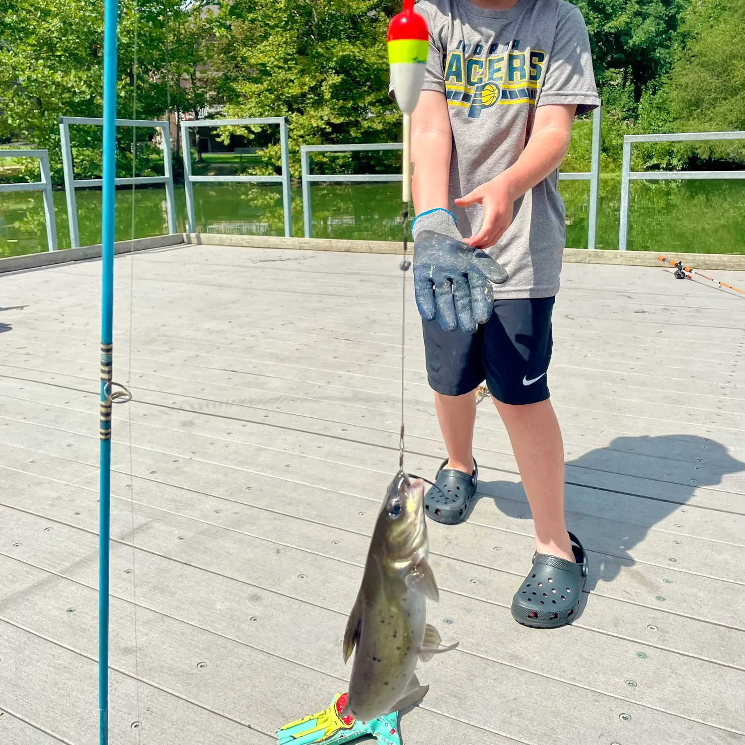 Channel catfish caught on Fishbrain