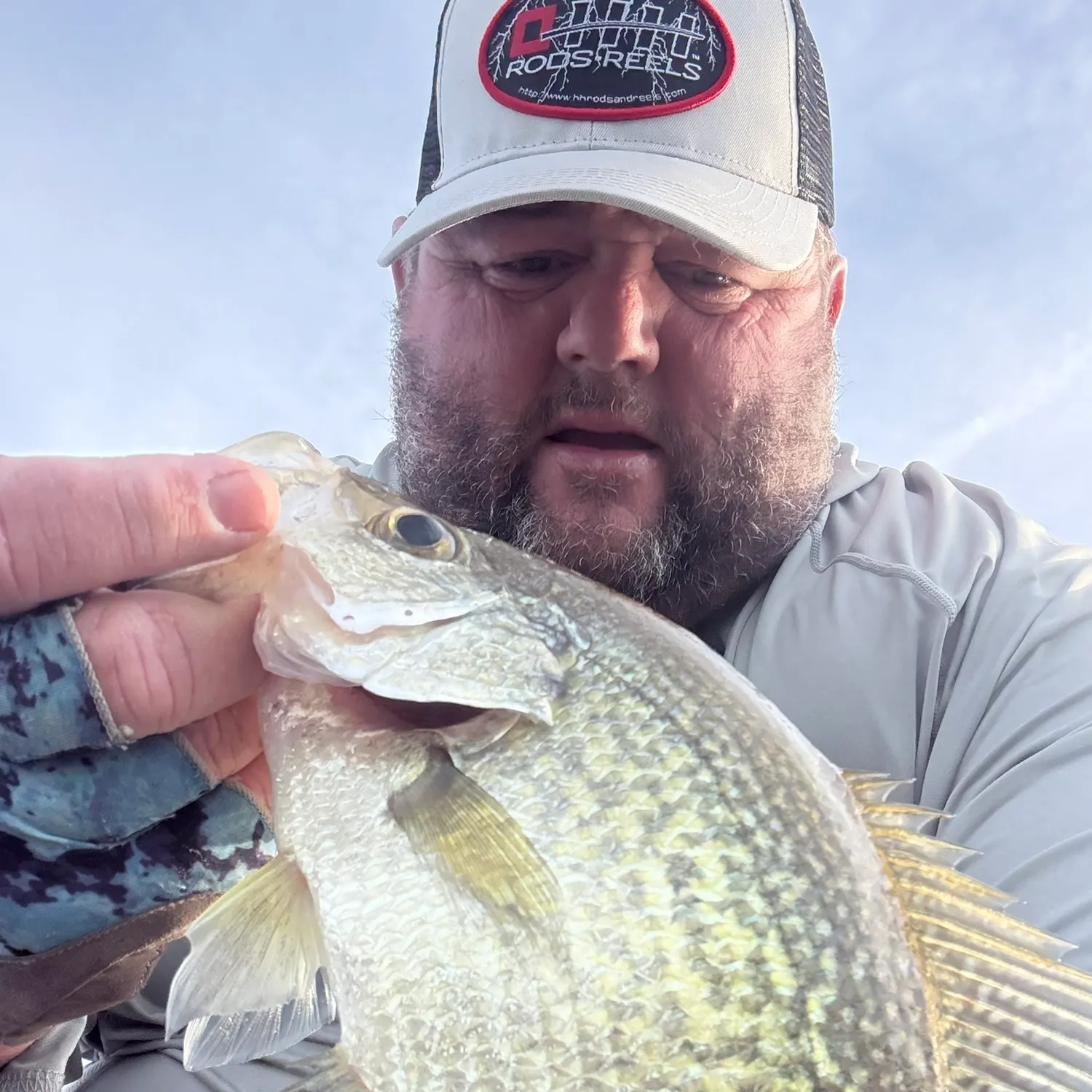 Black crappie caught on Fishbrain