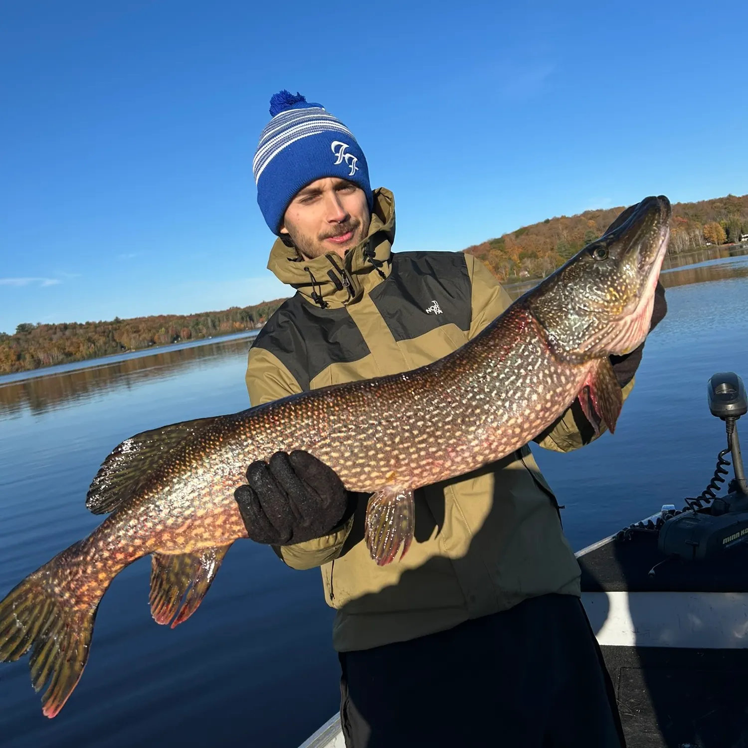 Northern pike caught on Fishbrain