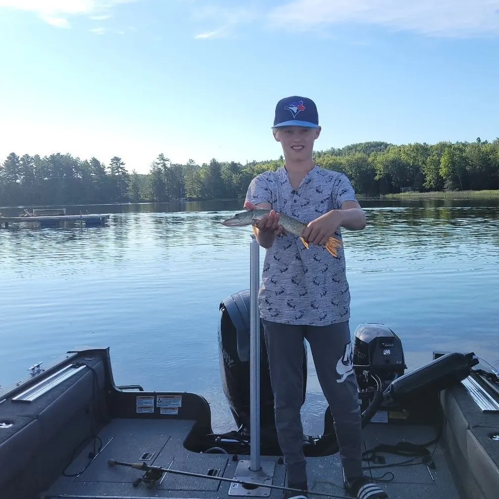angler catch