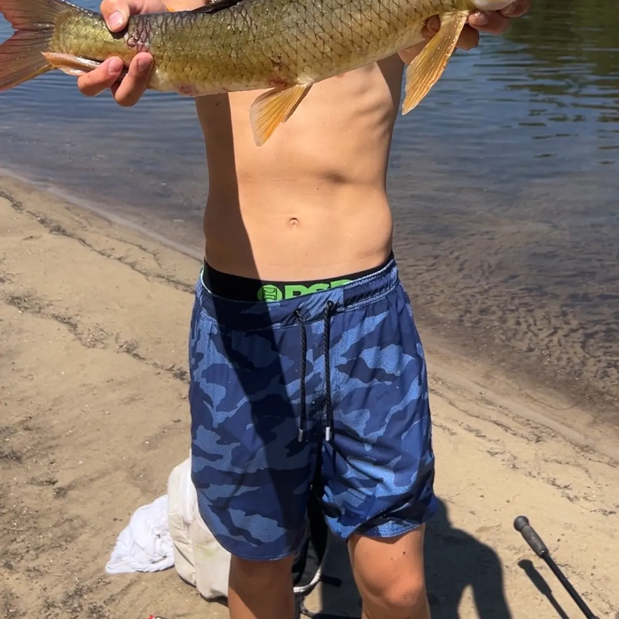 The most recent Greater redhorse catches on Fishbrain