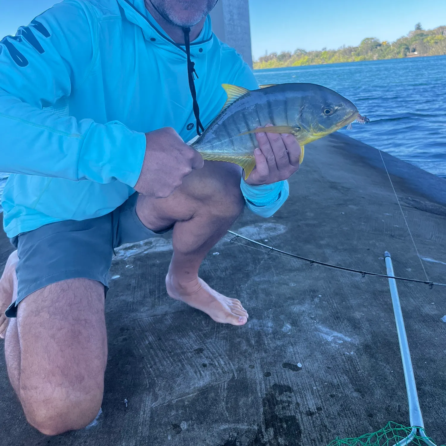 Golden trevally caught on Fishbrain