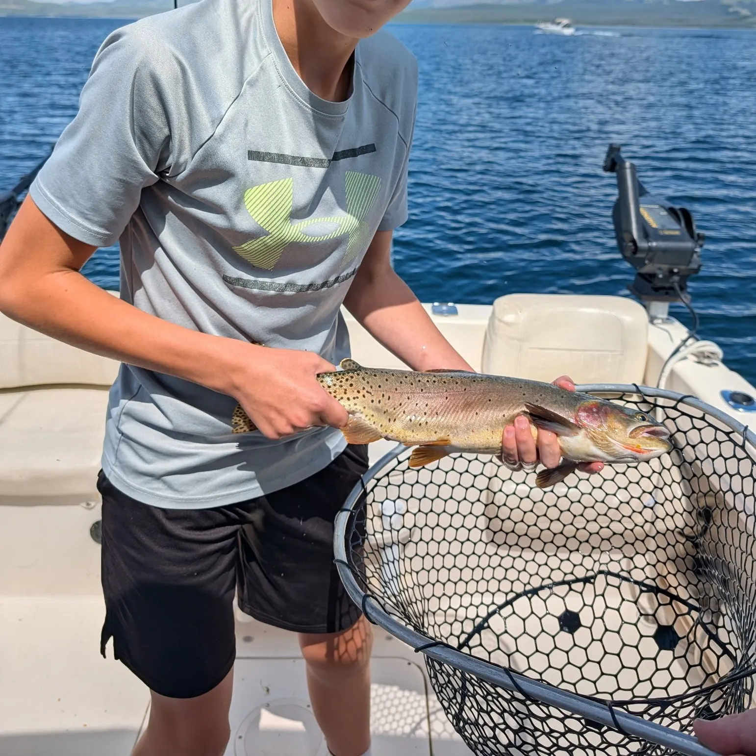 The most recent Yellowstone cutthroat trout catches on Fishbrain