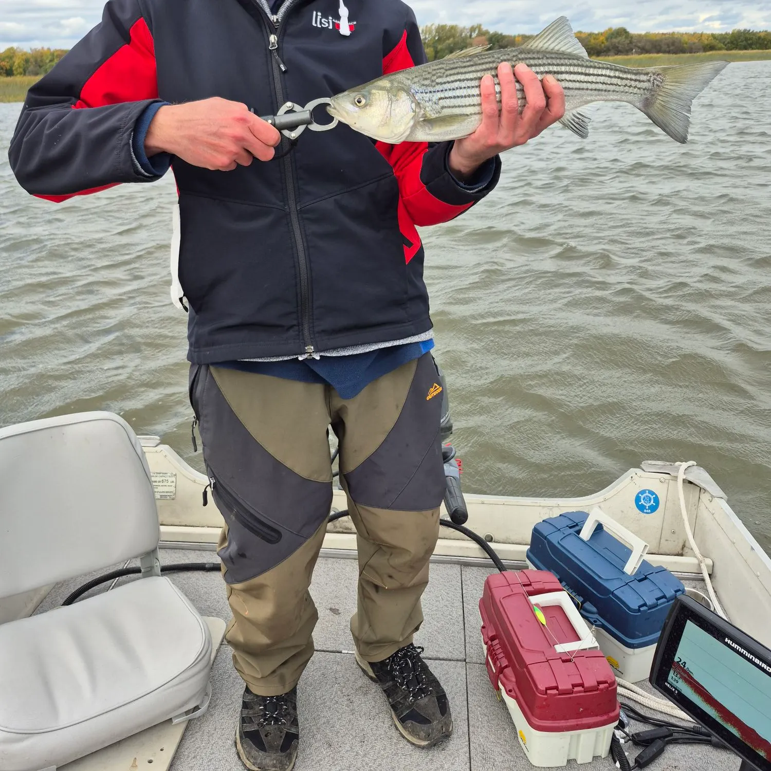 Striped bass caught on Fishbrain