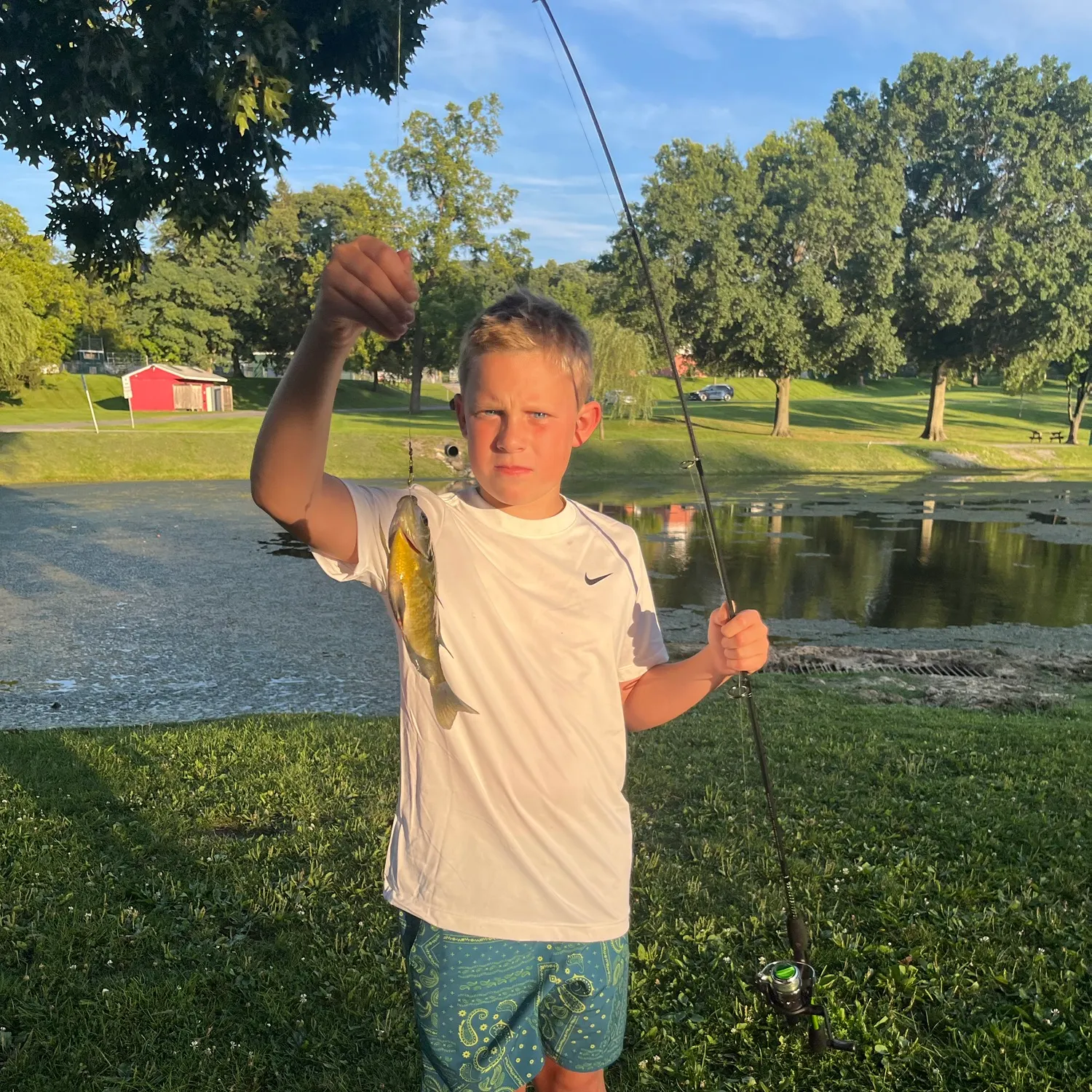 Bluegill caught on Fishbrain