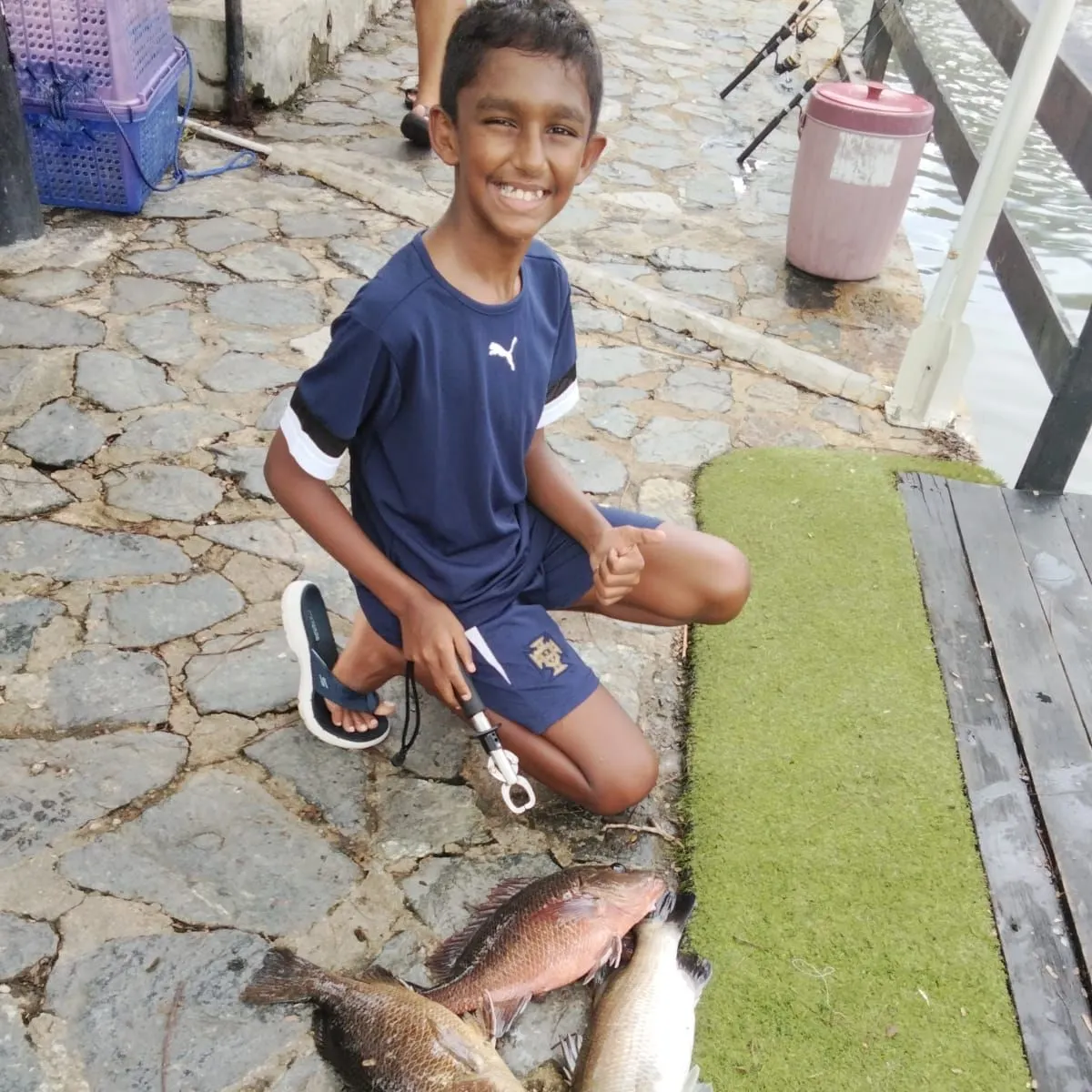The most recent Blackfin seabass catches on Fishbrain