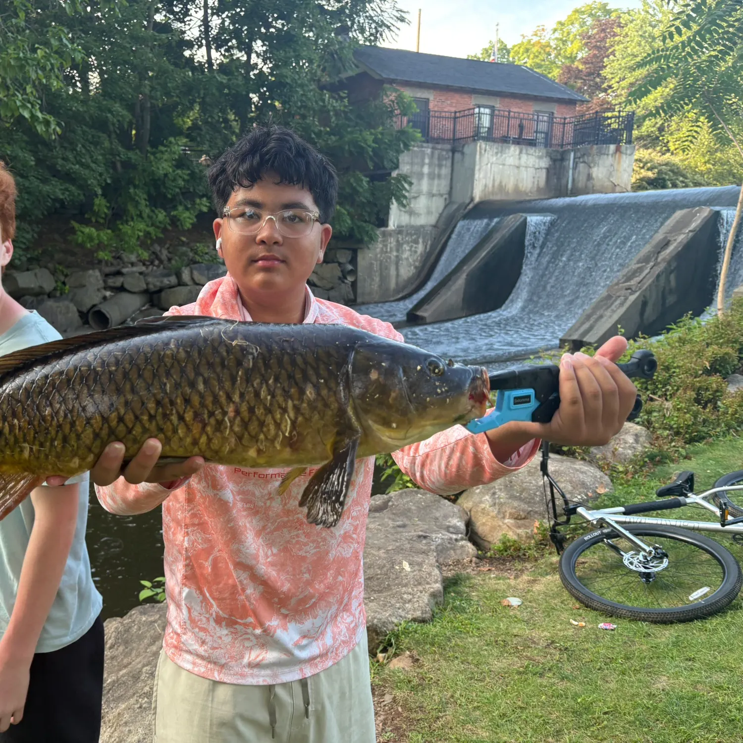 Common carp caught on Fishbrain