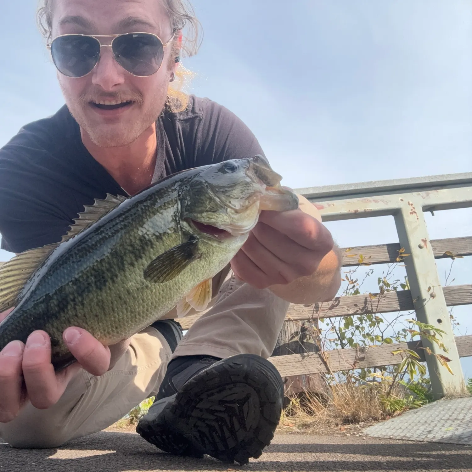 Largemouth bass caught on Fishbrain
