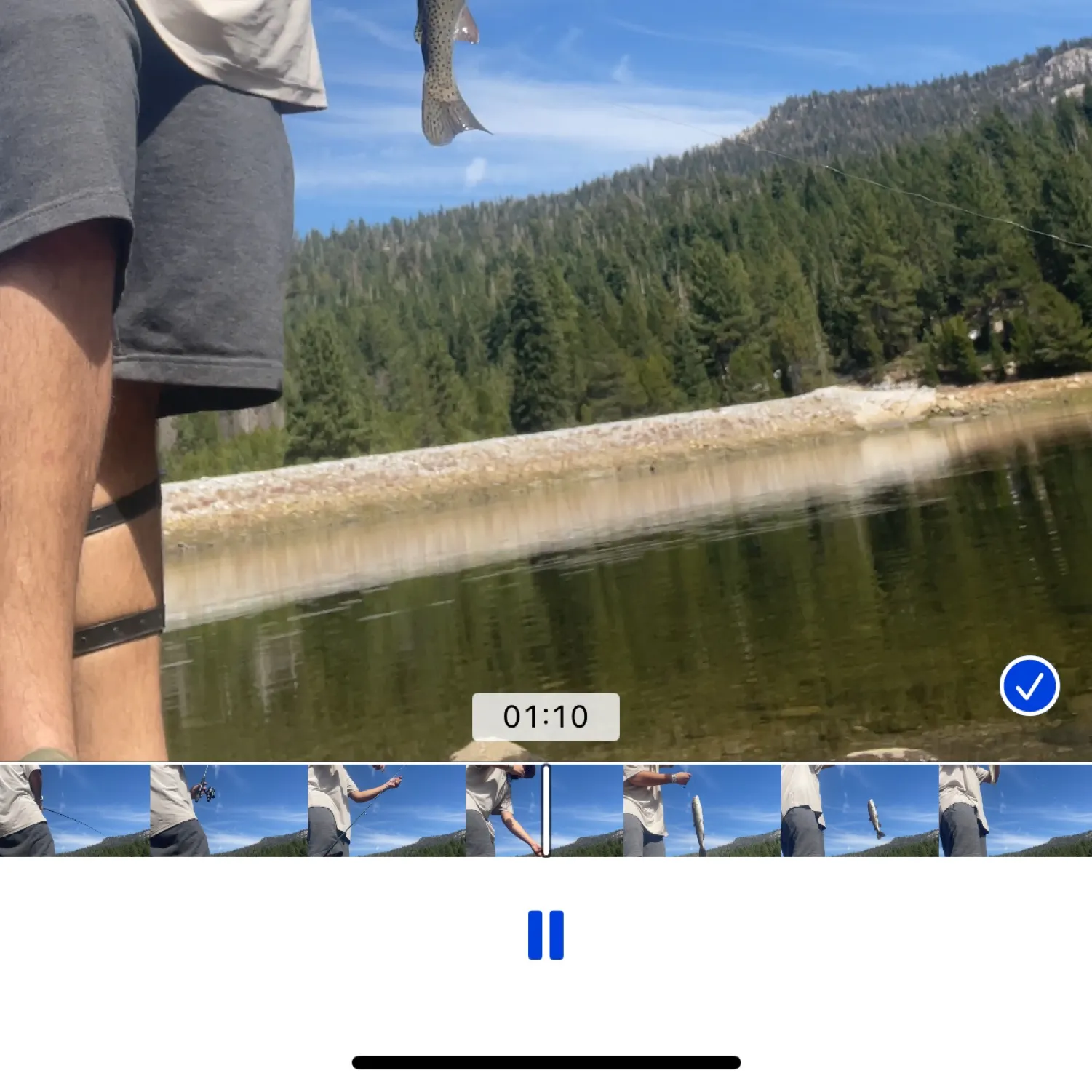 recently logged catches